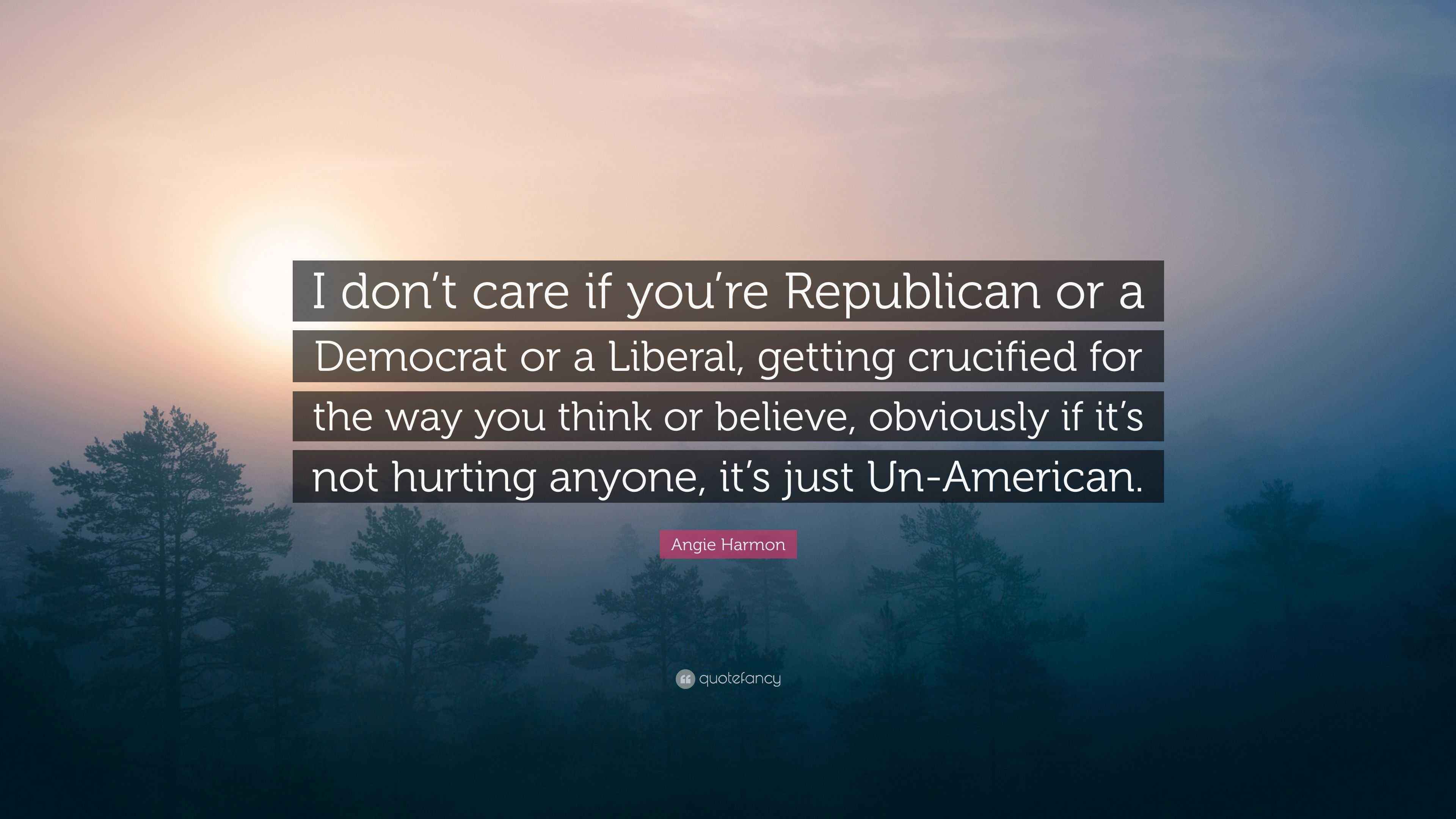 Angie Harmon Quote: “I don’t care if you’re Republican or a Democrat or ...