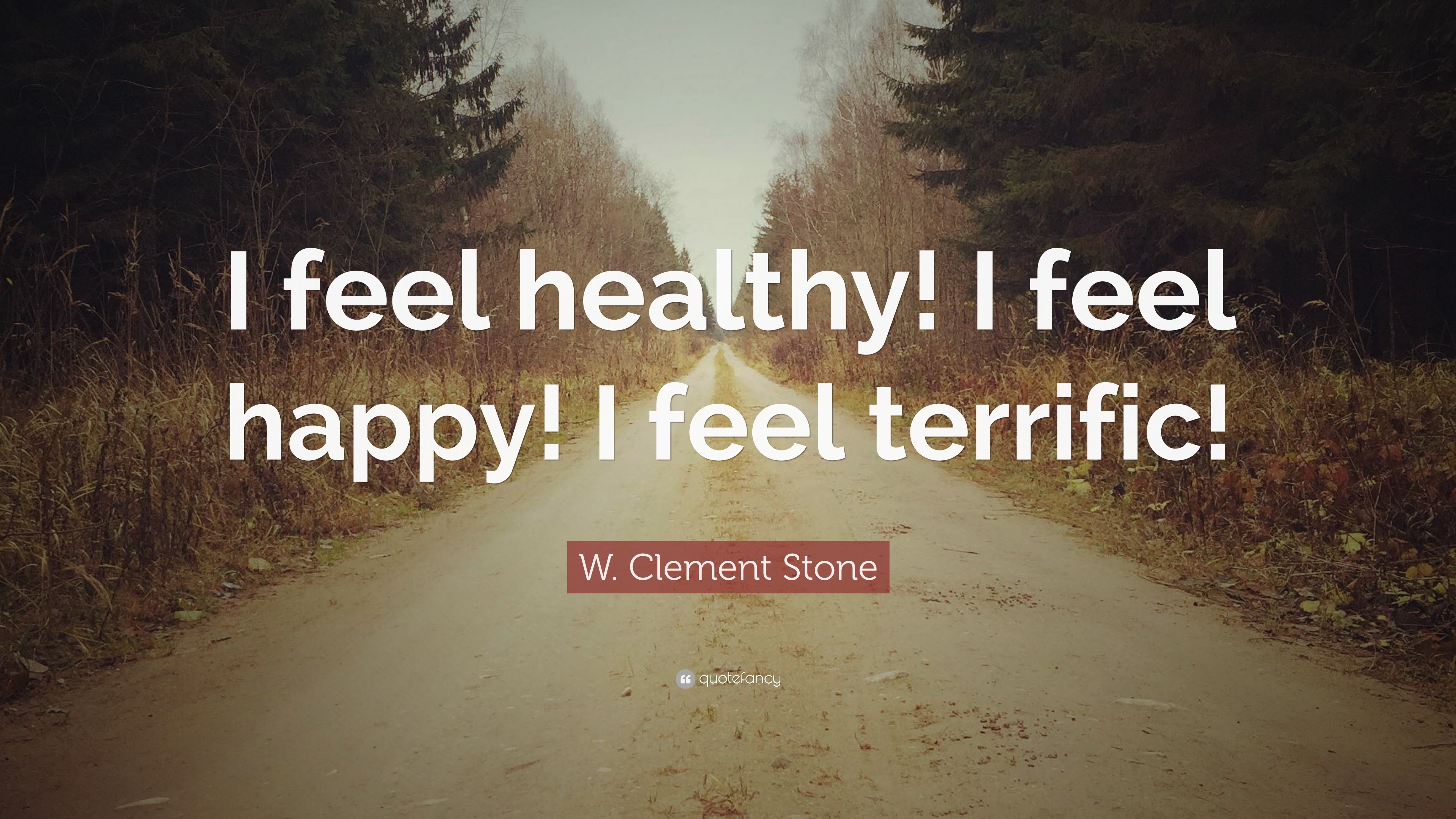 W Clement Stone Quote I Feel Healthy I Feel Happy I Feel Terrific