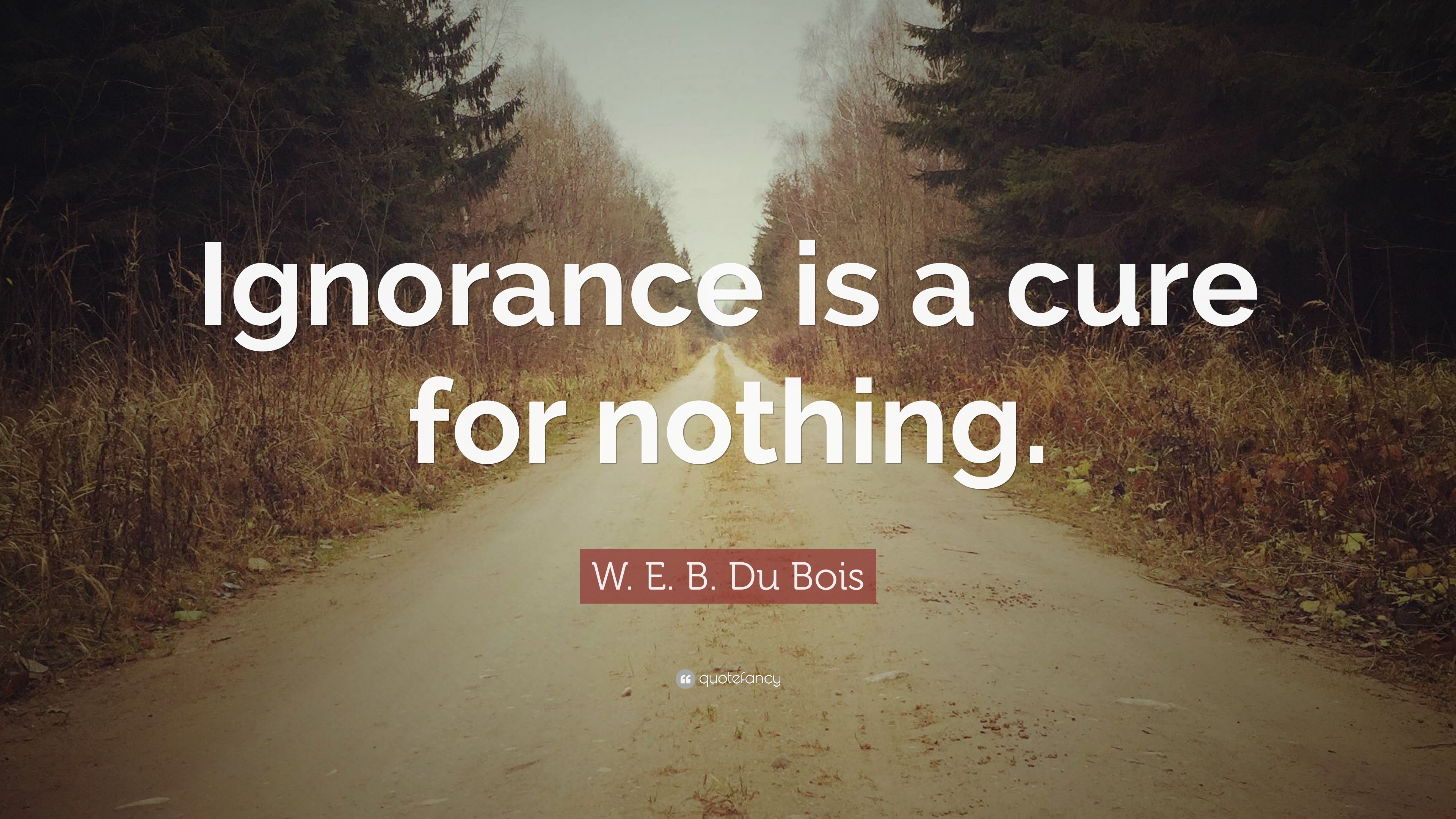 W. E. B. Du Bois Quote: “Ignorance Is A Cure For Nothing.”