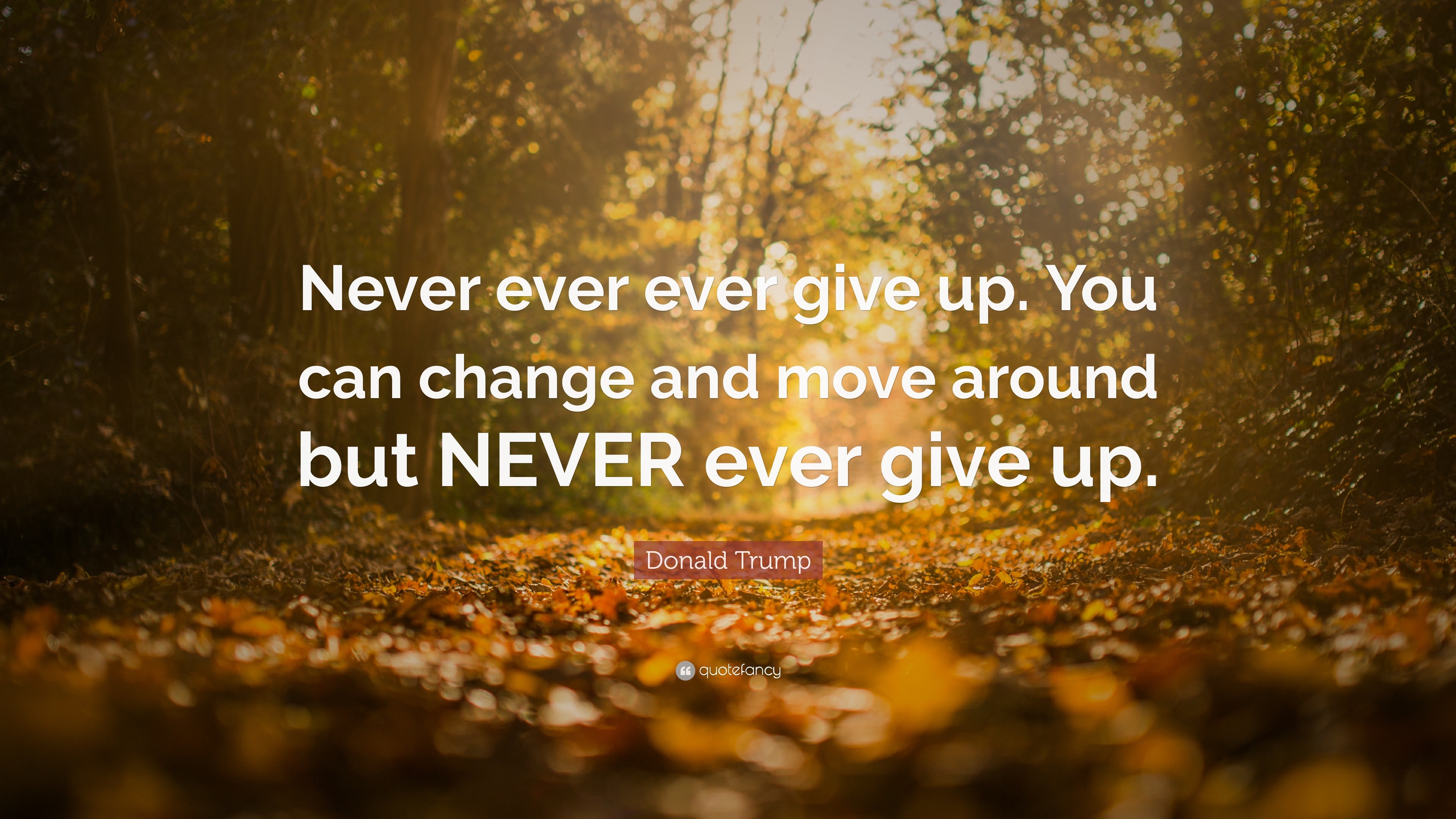 Donald Trump Quote: “Never ever ever give up. You can change and move