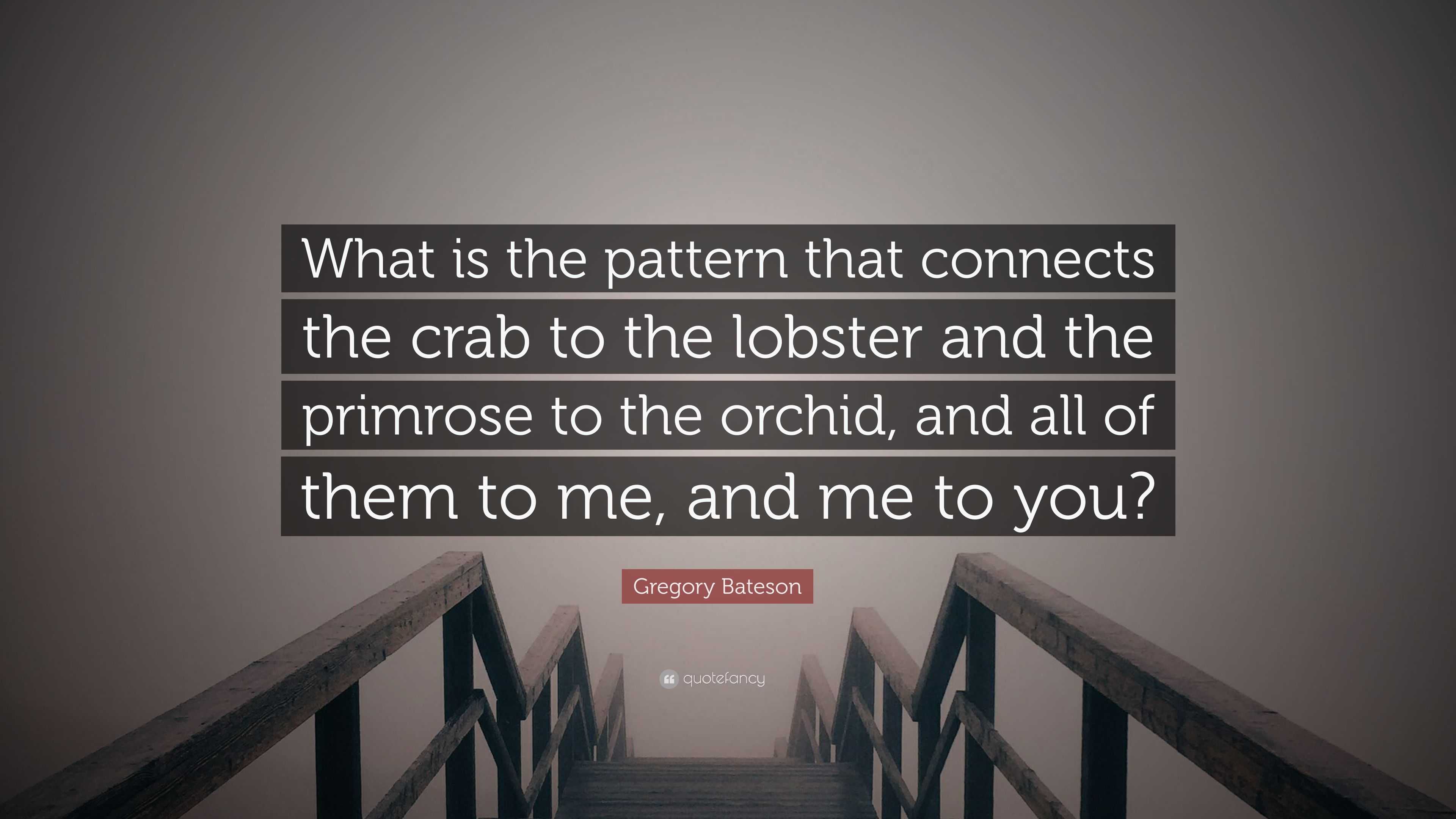 Gregory Bateson Quote: “What is the pattern that connects the crab to