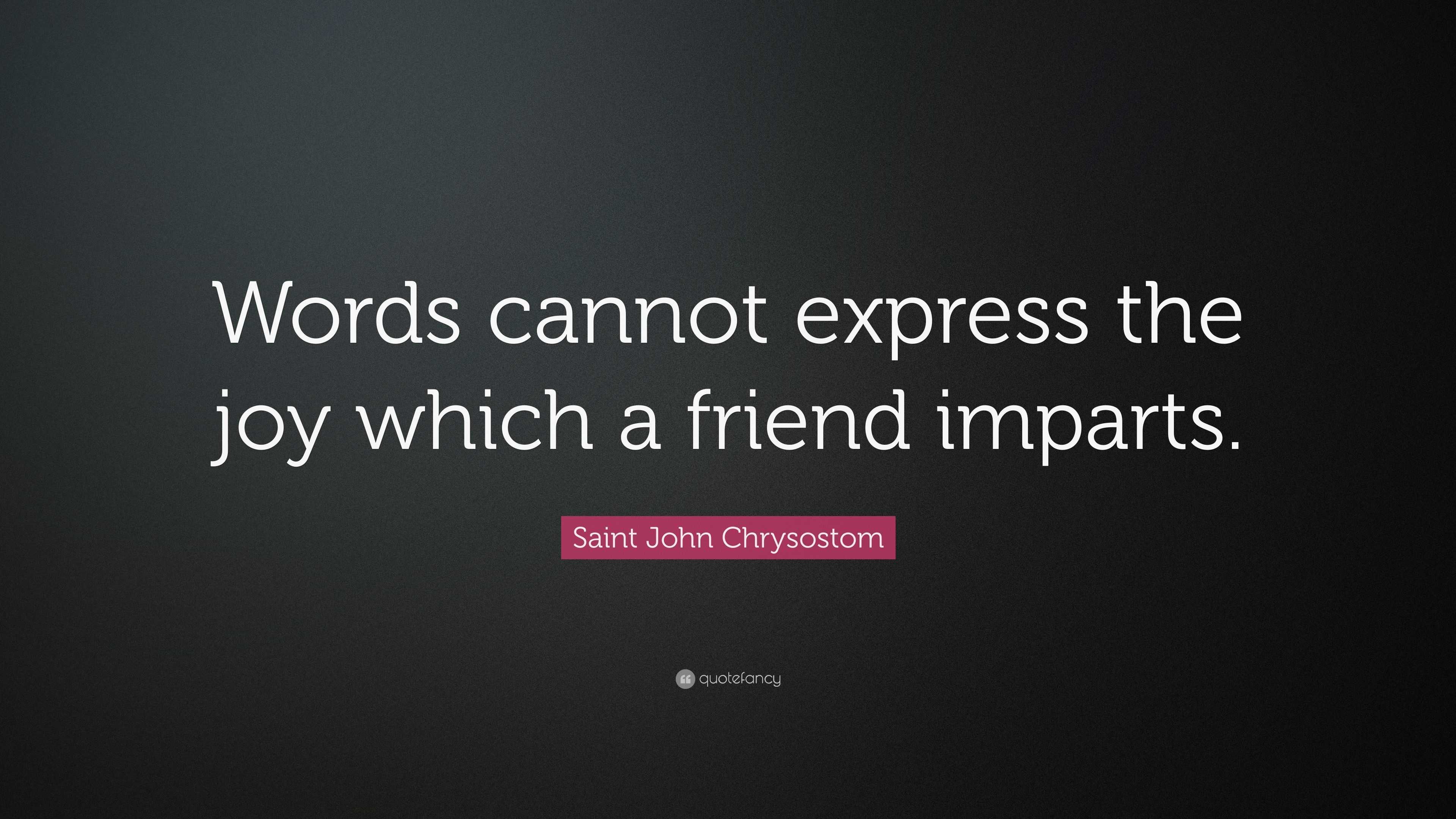 4415528 Saint John Chrysostom Quote Words cannot express the joy which a