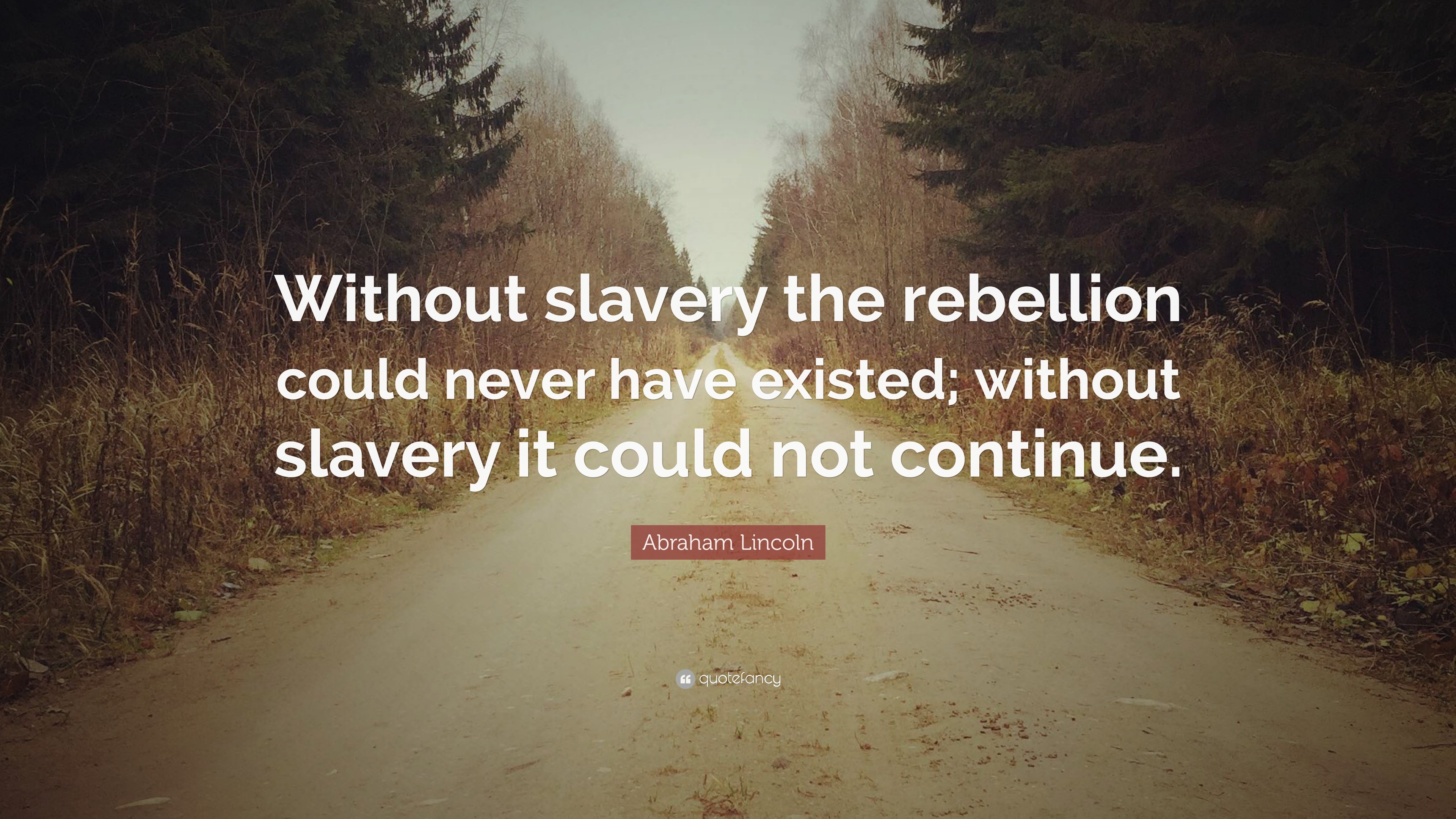 Abraham Lincoln Quote: “Without slavery the rebellion could never have ...