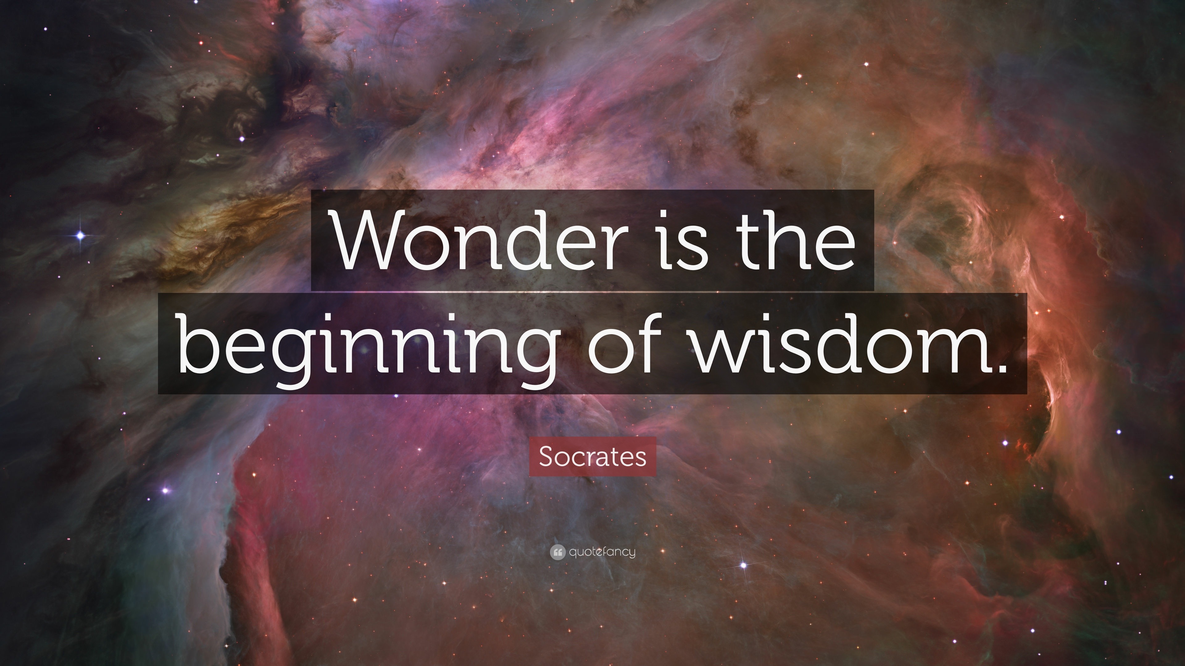 Socrates Quote: “Wonder Is The Beginning Of Wisdom.”