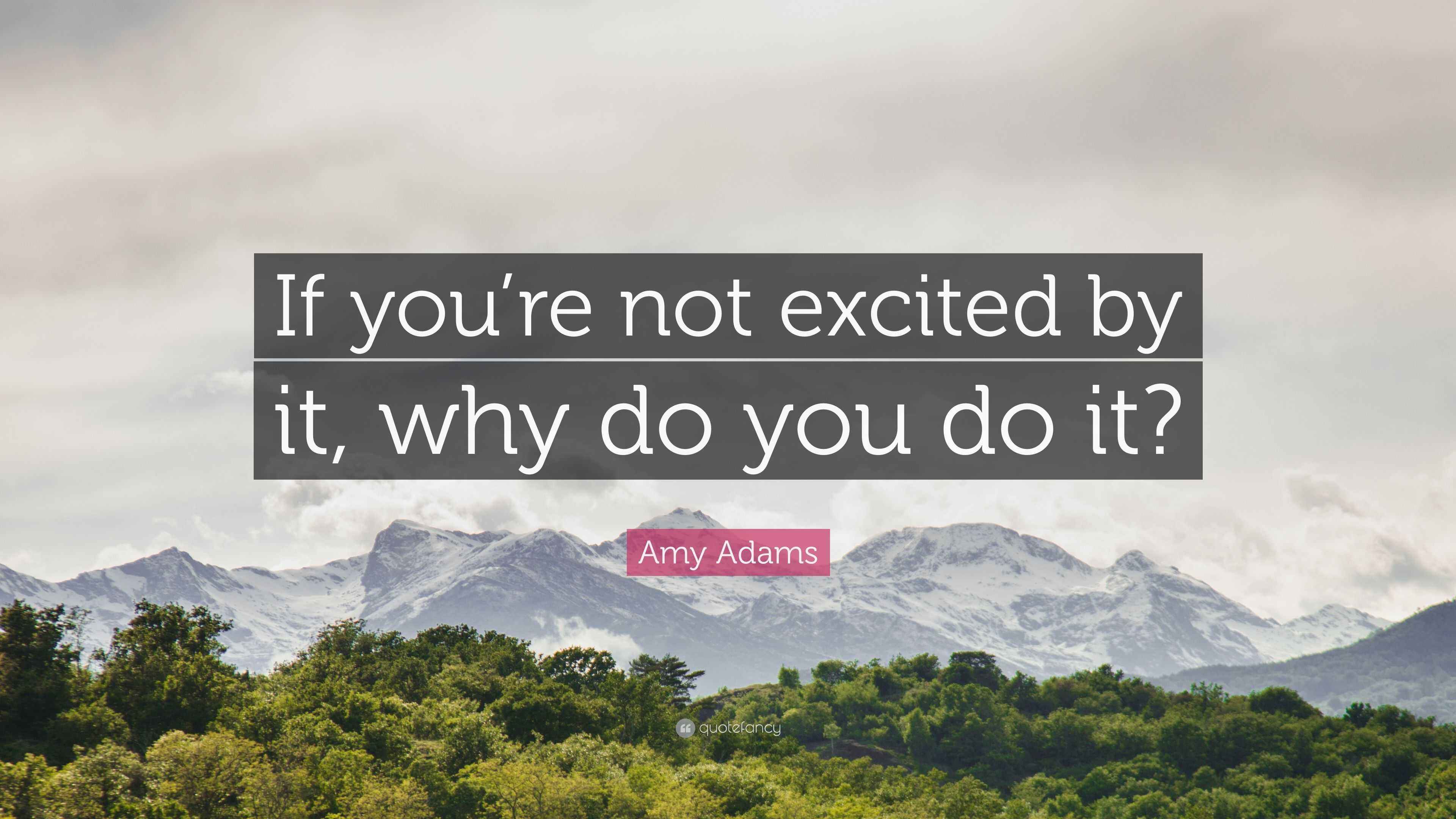 Amy Adams Quote: “If you’re not excited by it, why do you do it?”