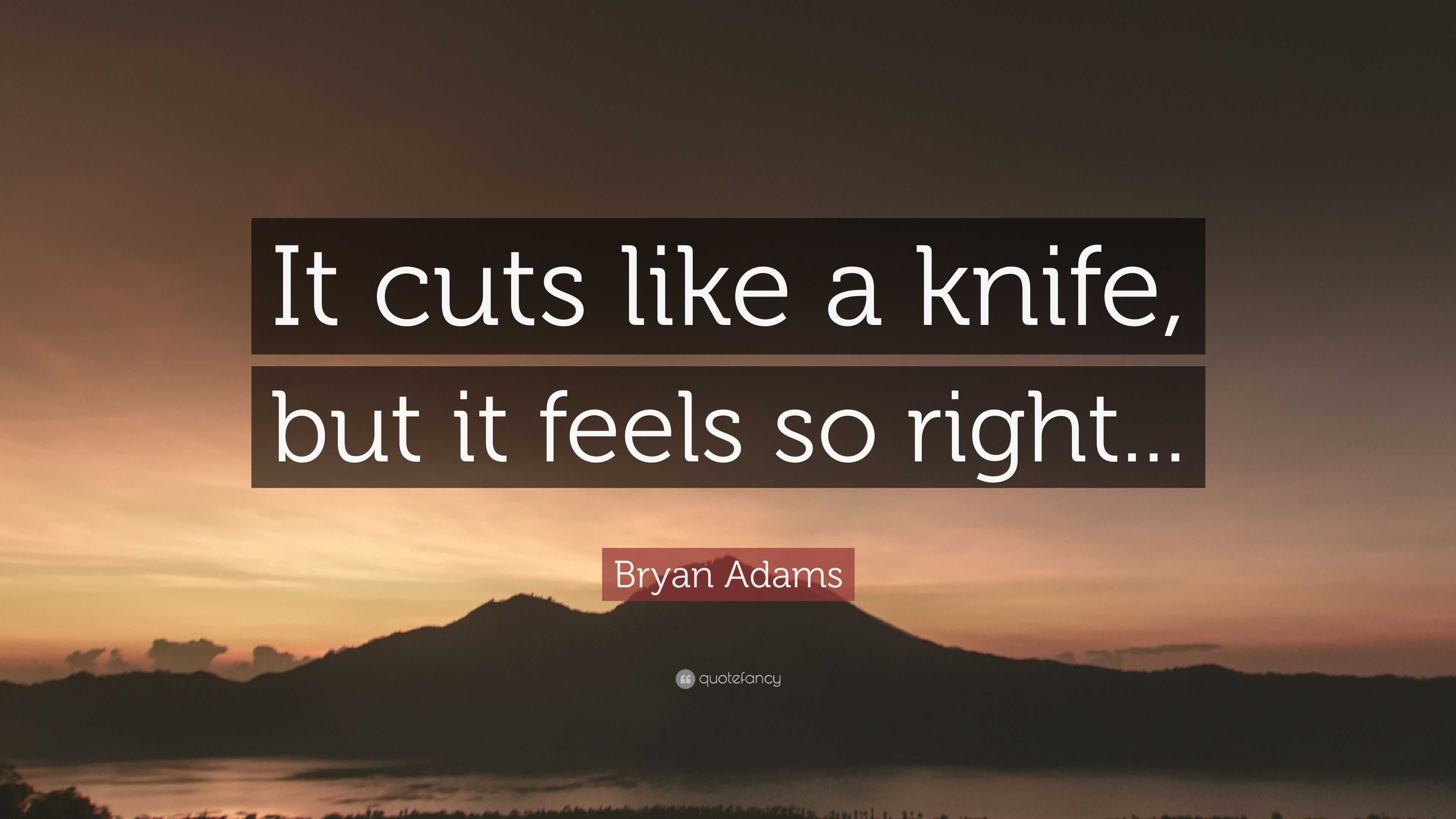 Bryan Adams Quote “It cuts like a knife, but it feels so right...”