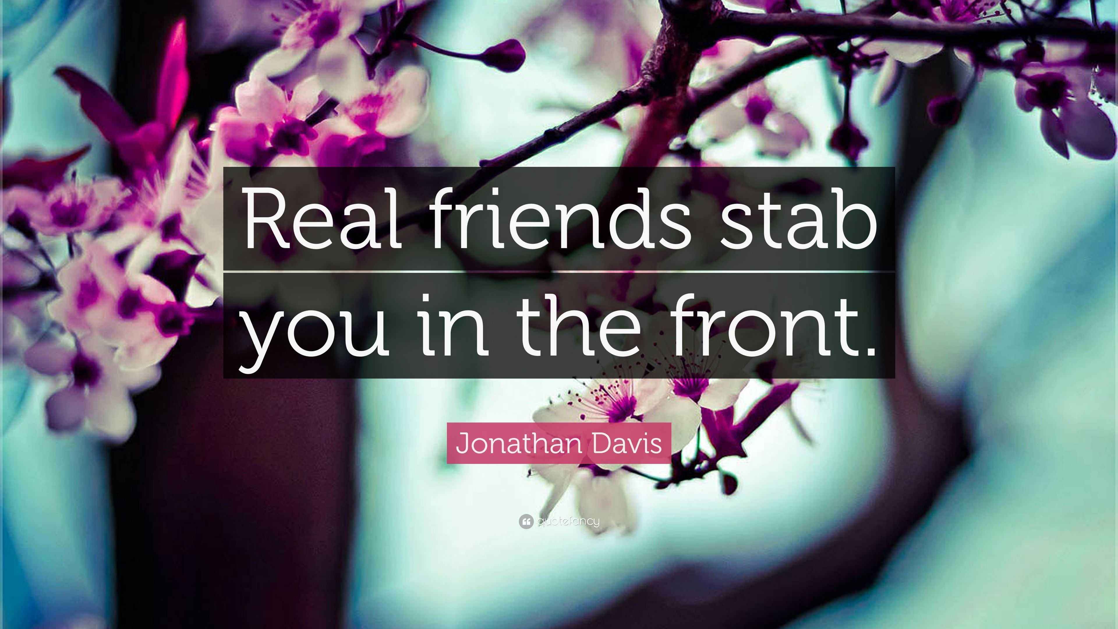 Jonathan Davis Quote “Real friends stab you in the front.”