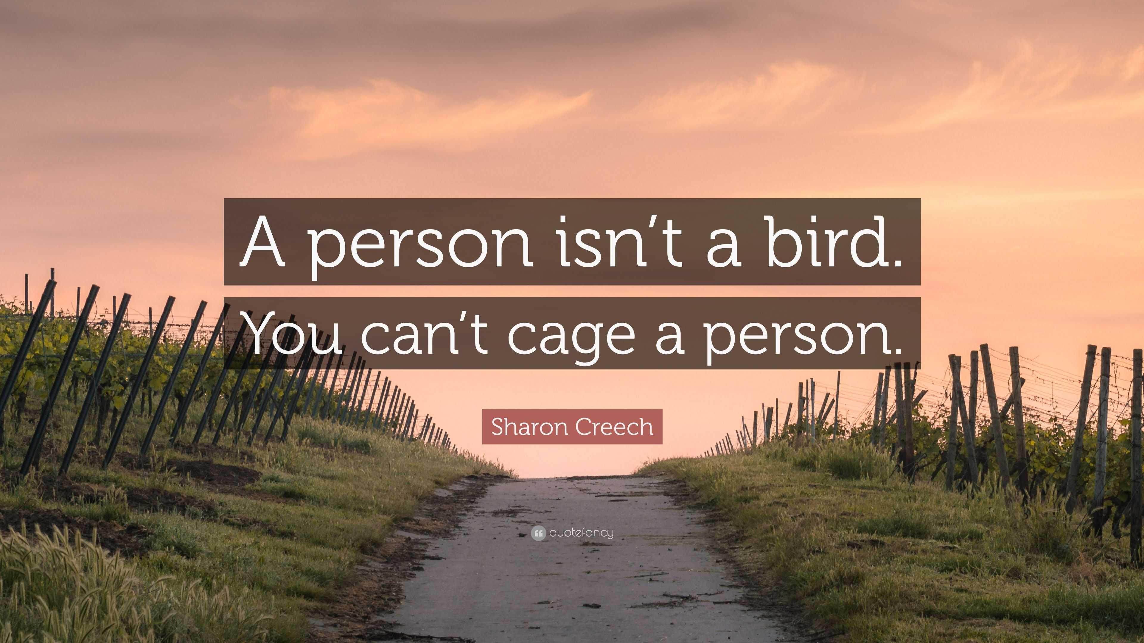 Sharon Creech Quote: “A person isn’t a bird. You can’t cage a person.”