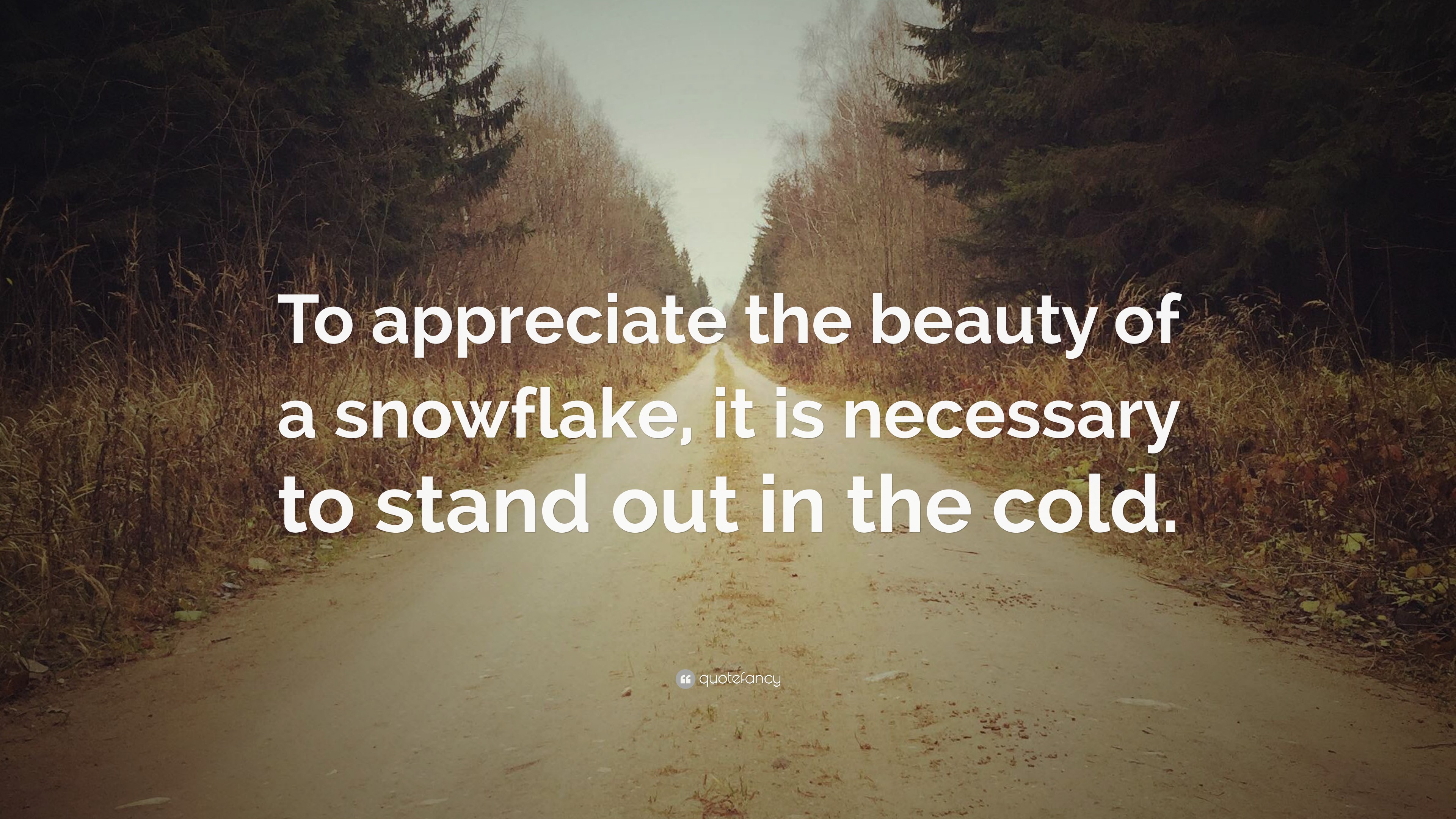 “To appreciate the beauty of a snowflake, it is necessary to stand out ...