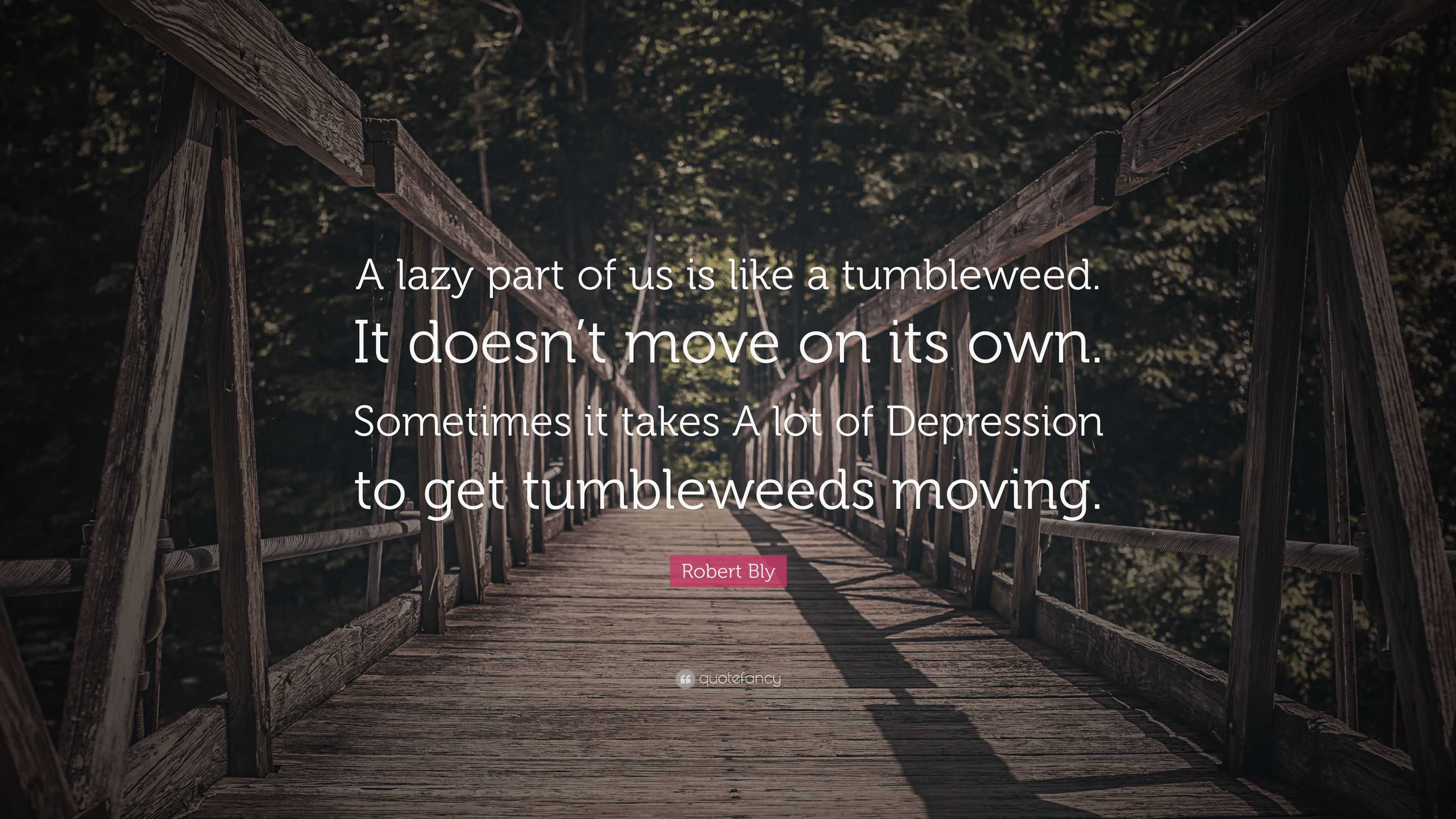 Robert Bly Quote “A lazy part of us is like a tumbleweed. It doesn’t