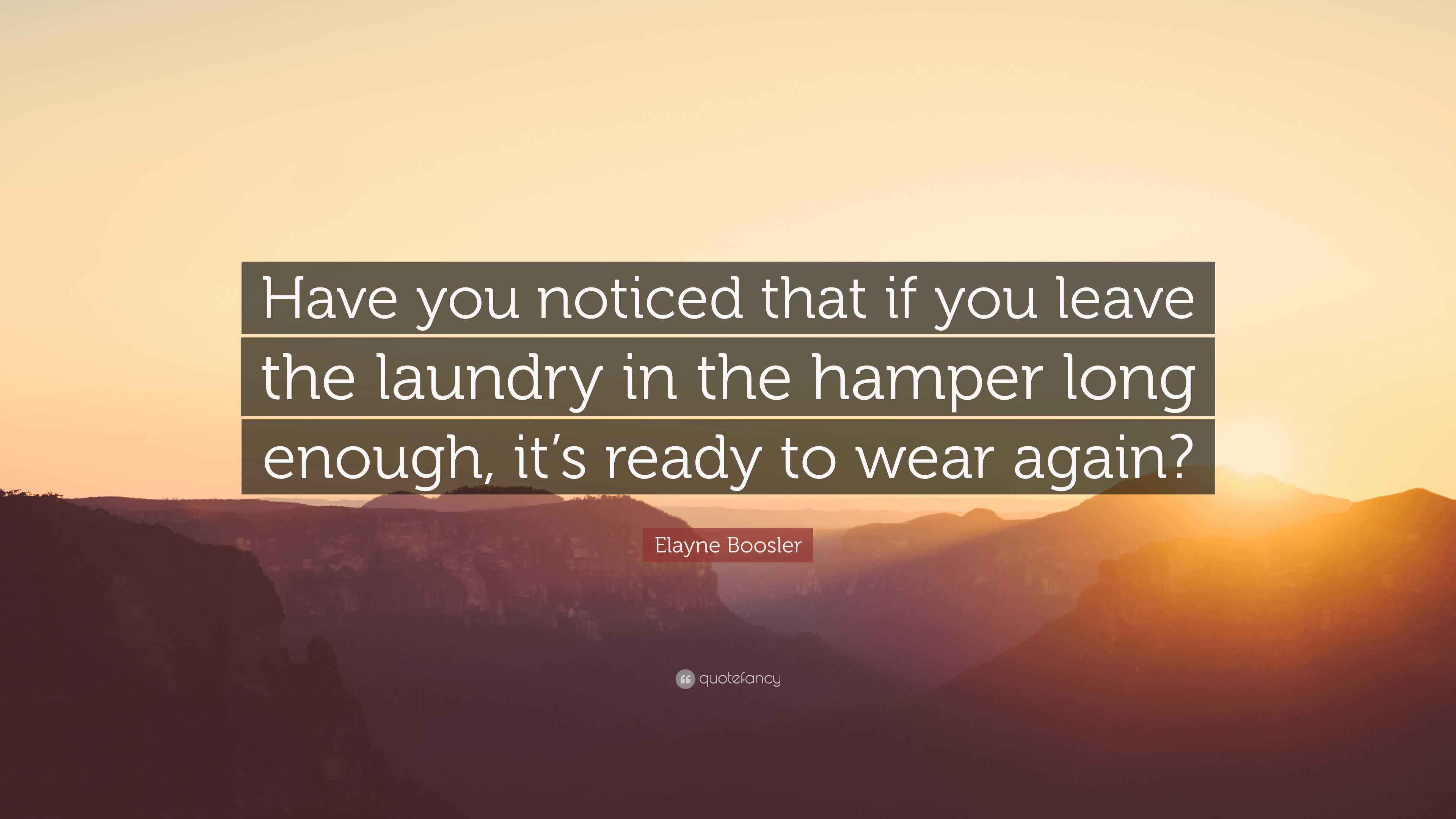 Elayne Boosler Quote: “Have you noticed that if you leave the laundry