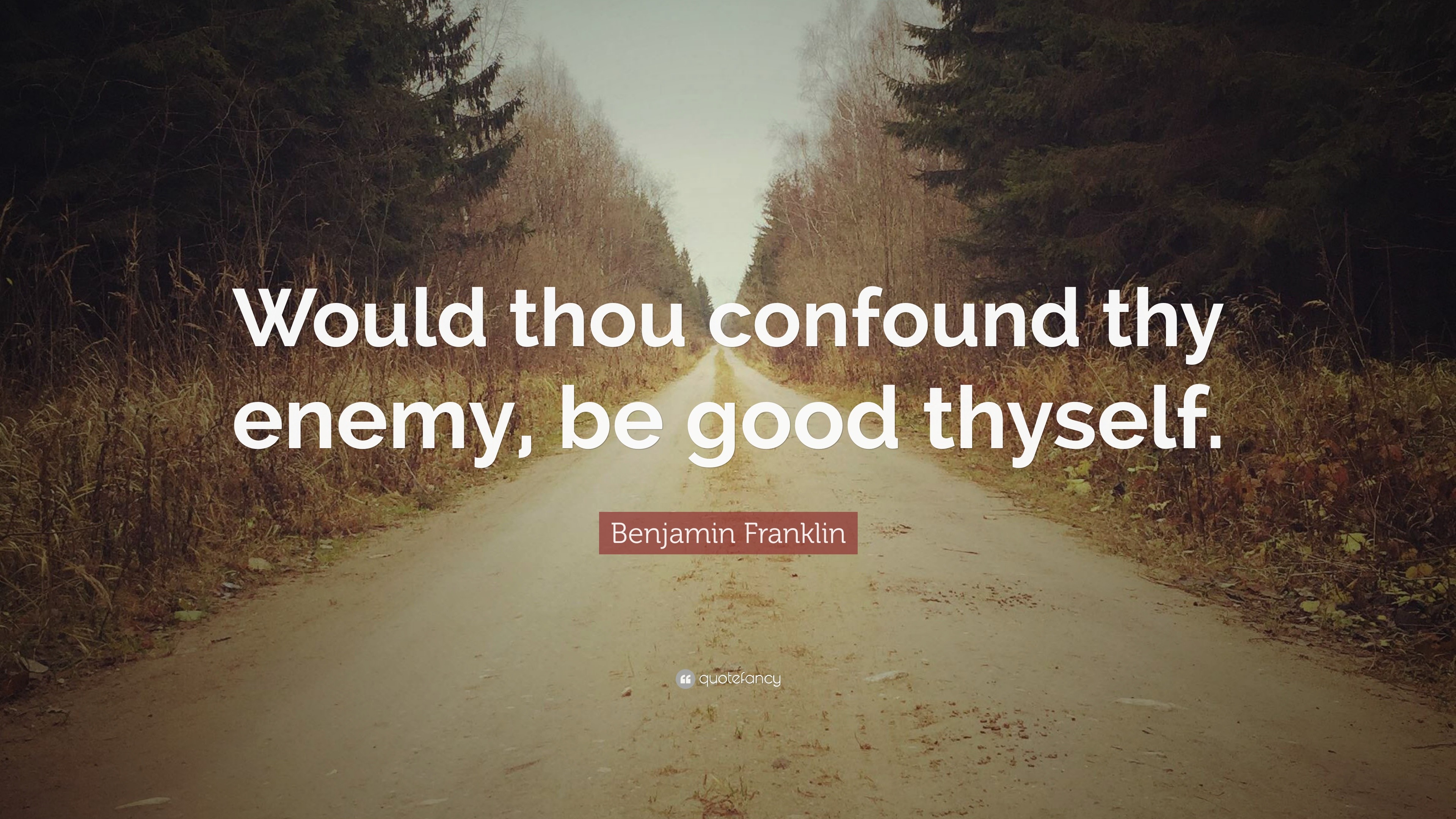 Benjamin Franklin Quote: “Would thou confound thy enemy, be good thyself.”