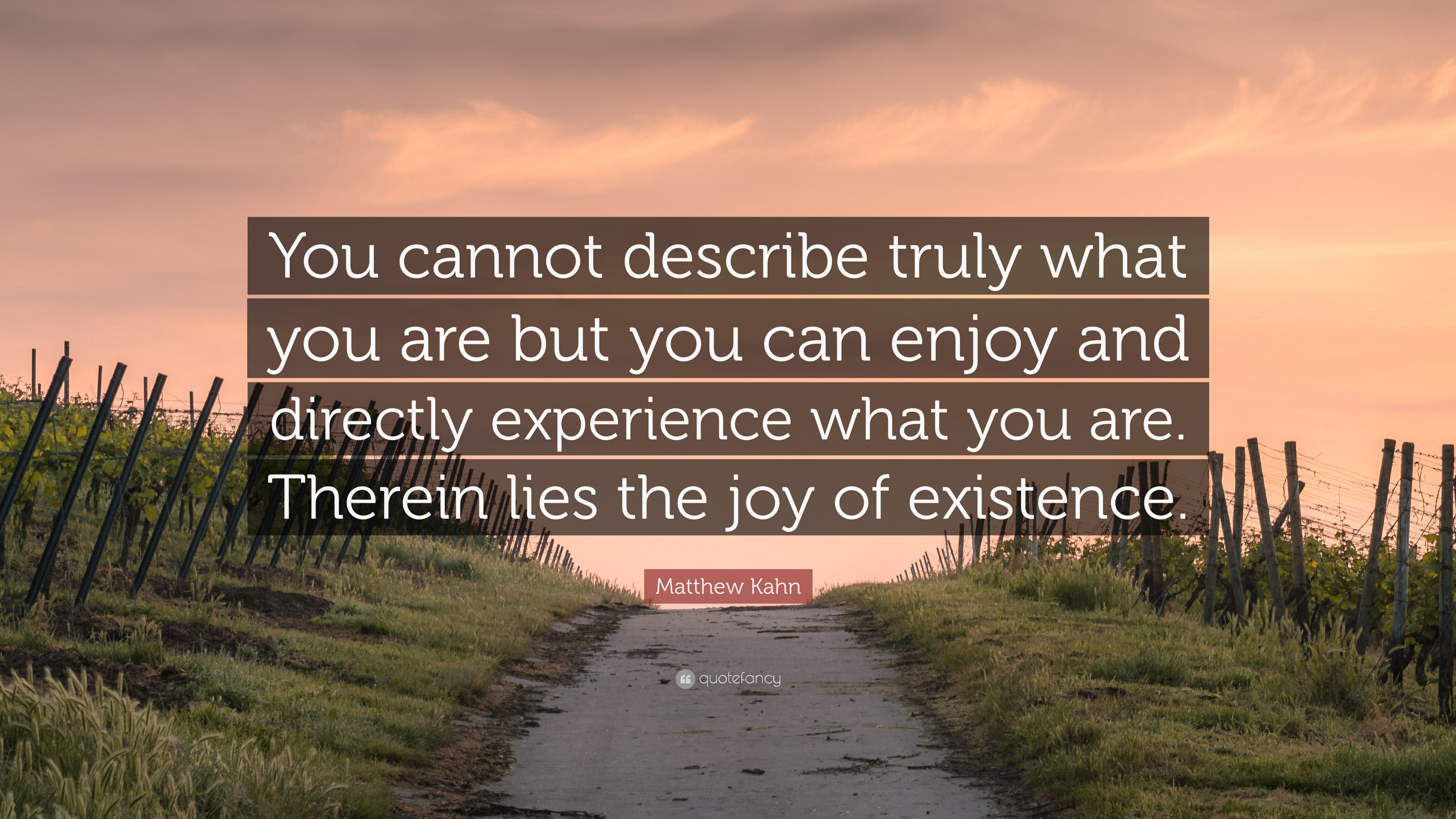 Matthew Kahn Quote: “You cannot describe truly what you are but you can ...