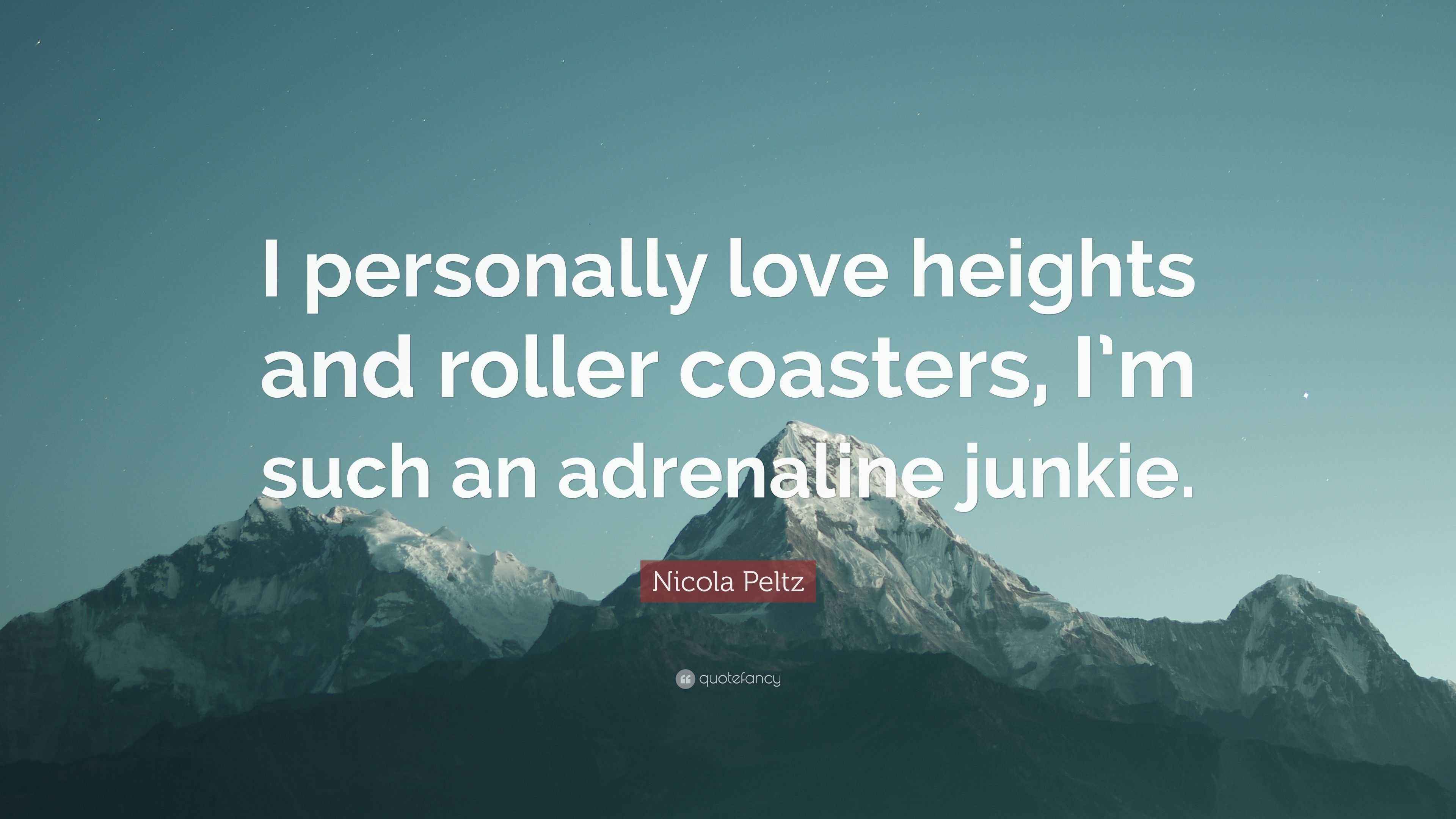 Roller Coaster Quotes Love Love Quotes Collection