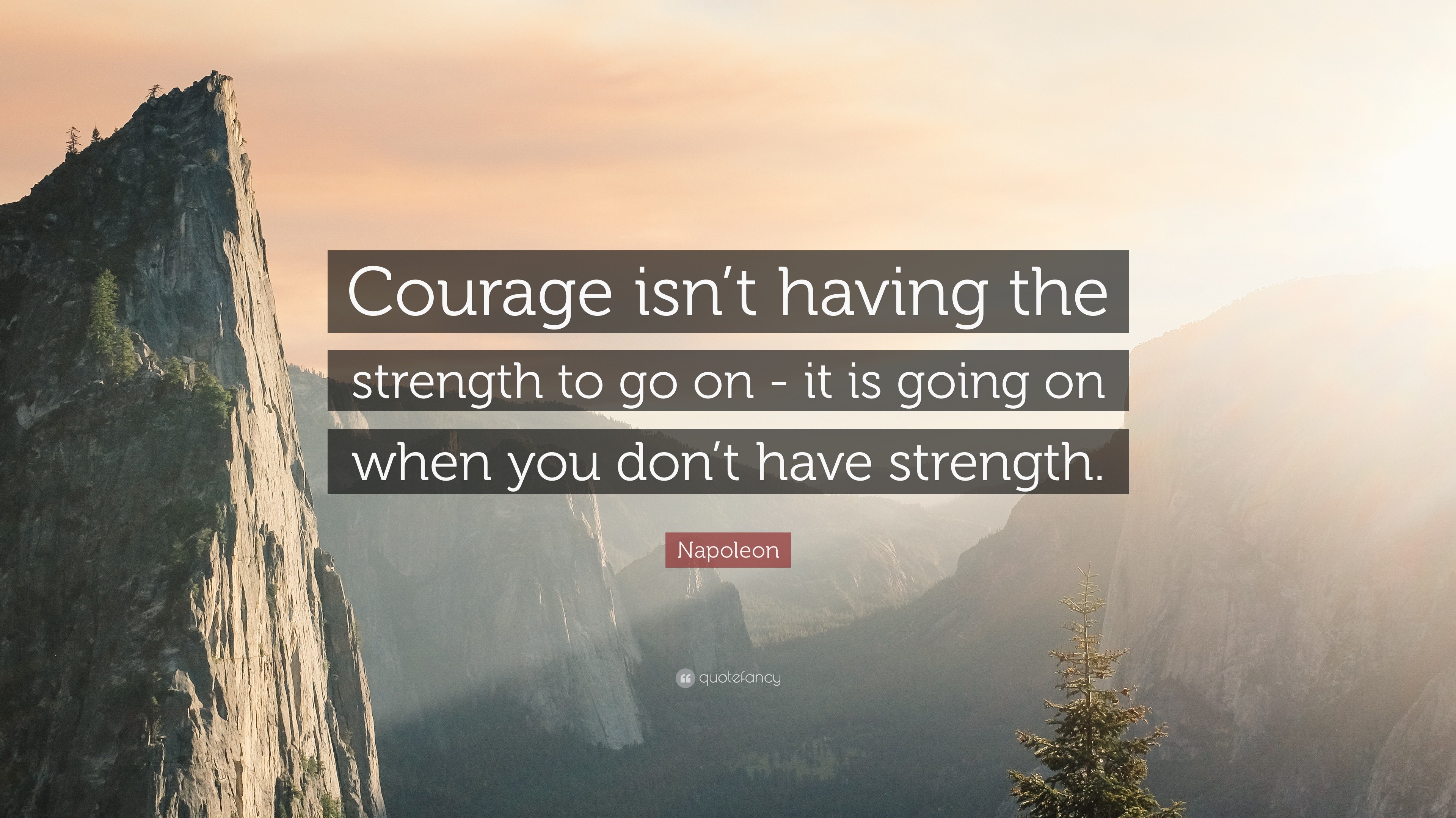 45729 Napoleon Quote Courage Isn T Having The Strength To Go On It Is 