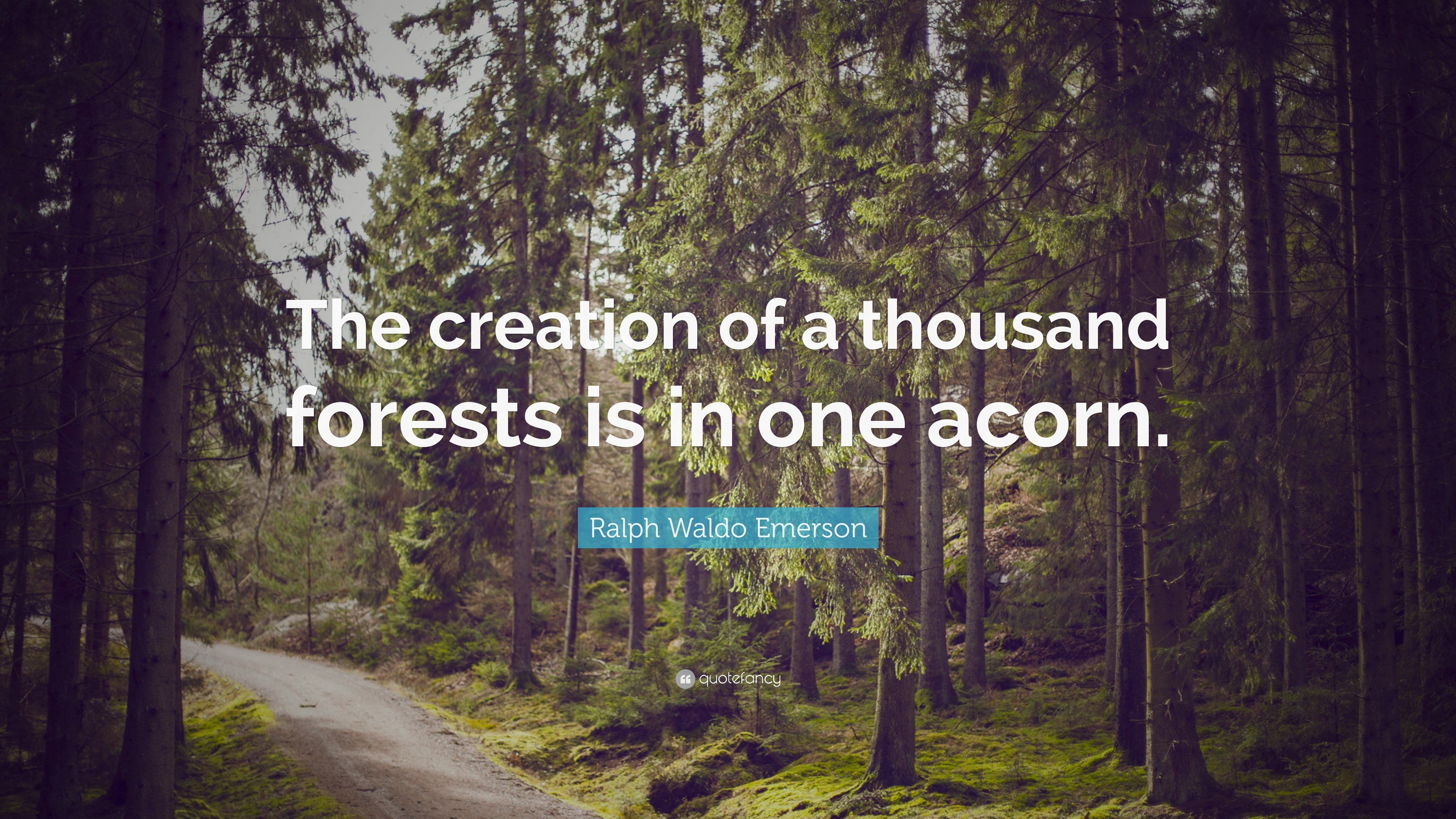 Ralph Waldo Emerson Quote: “The creation of a thousand forests is in ...