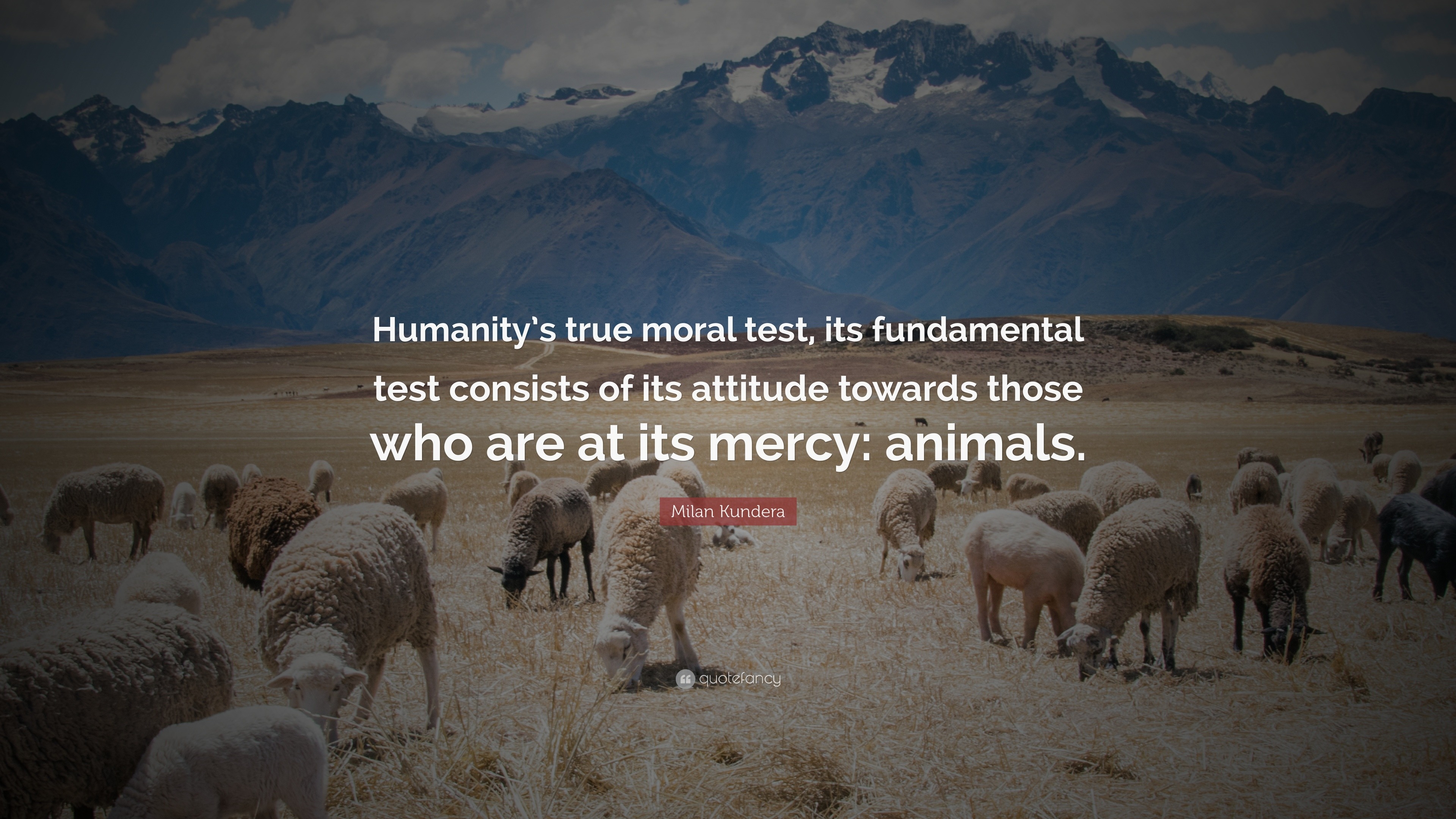 Milan Kundera Quote: "Humanity's true moral test, its ...