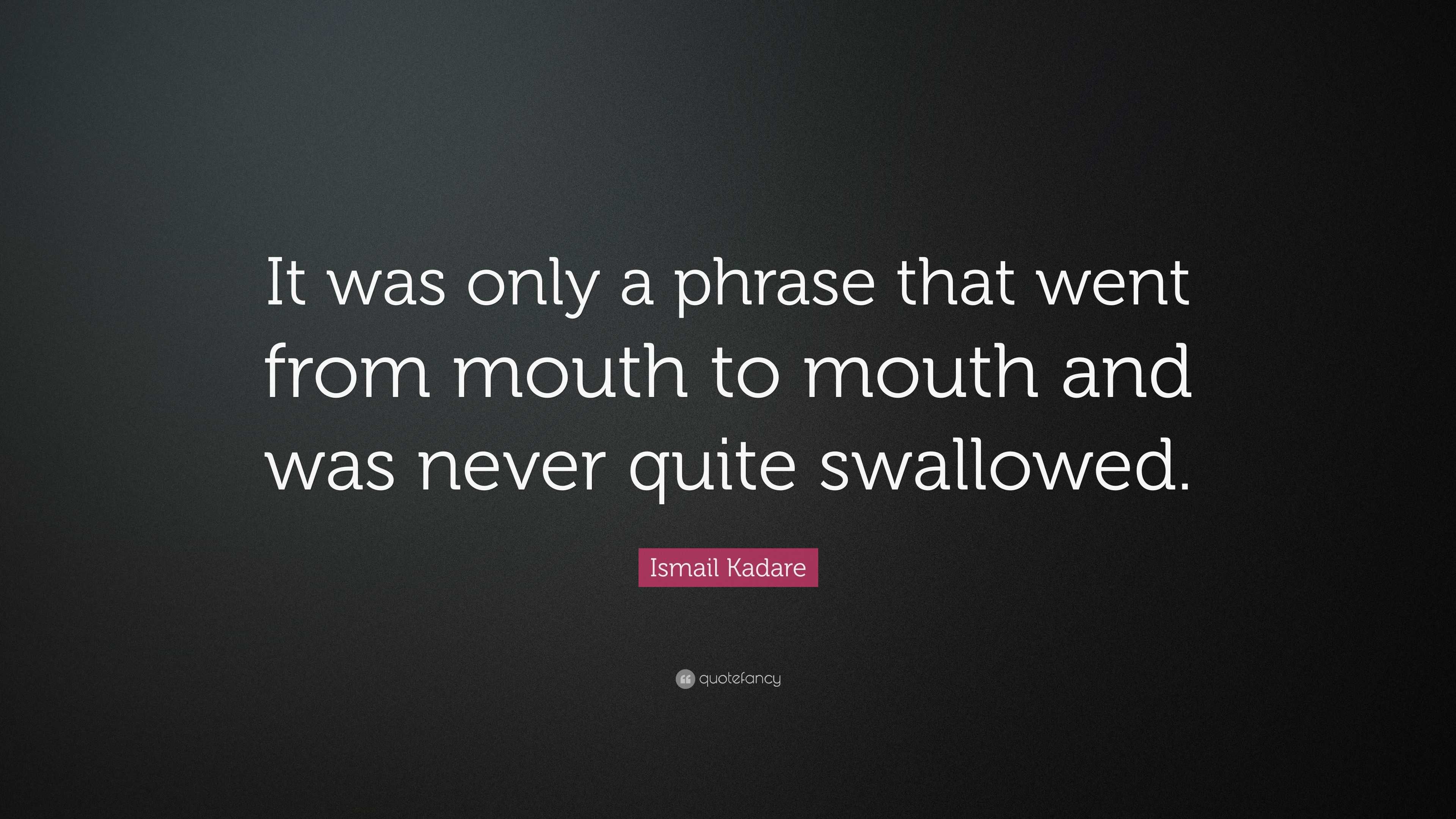 Ismail Kadare Quote: “It was only a phrase that went from mouth to ...