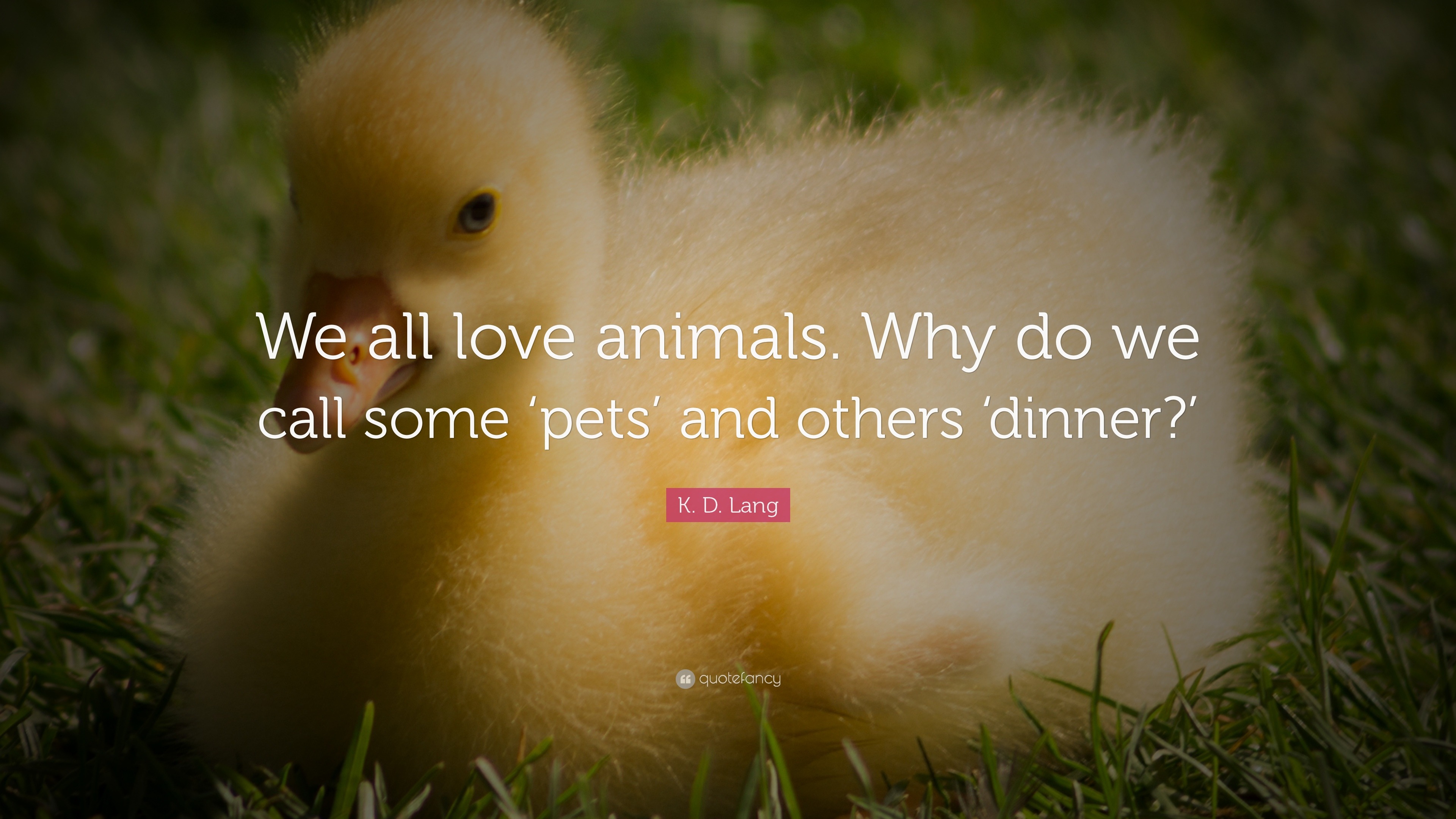 K. D. Lang Quote “We all love animals. Why do we call some ‘pets’ and