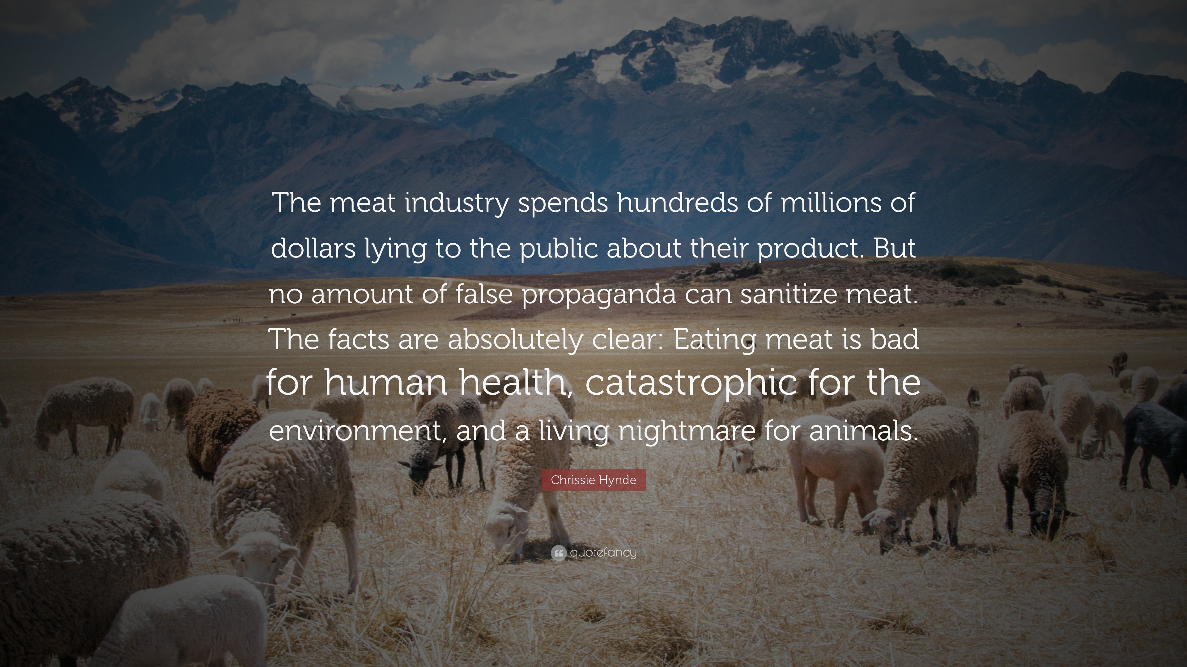 Chrissie Hynde Quote: “The meat industry spends hundreds of millions of