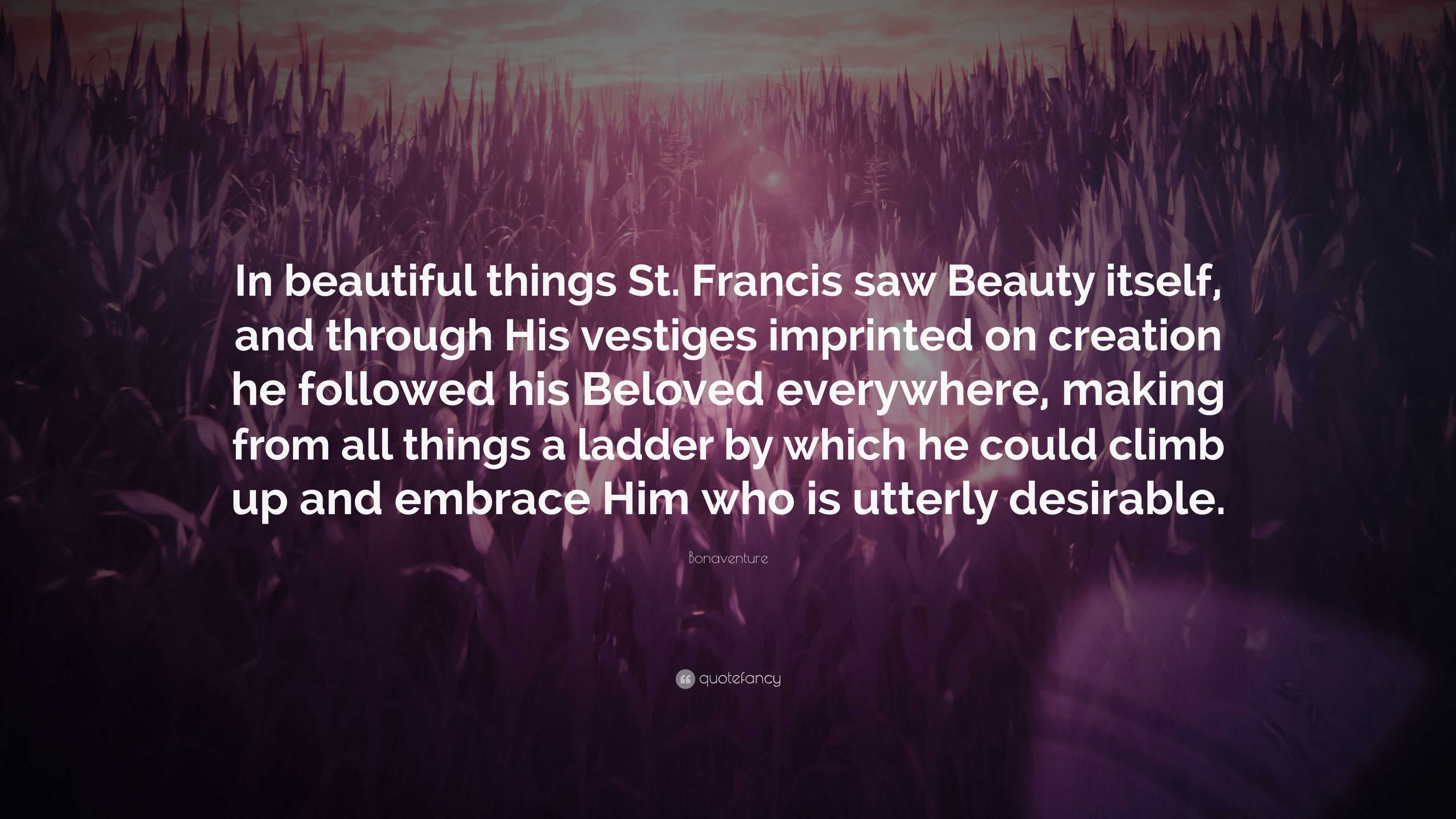 Bonaventure Quote: “In beautiful things St. Francis saw Beauty itself, and  through His vestiges imprinted on creation he followed his Belove”