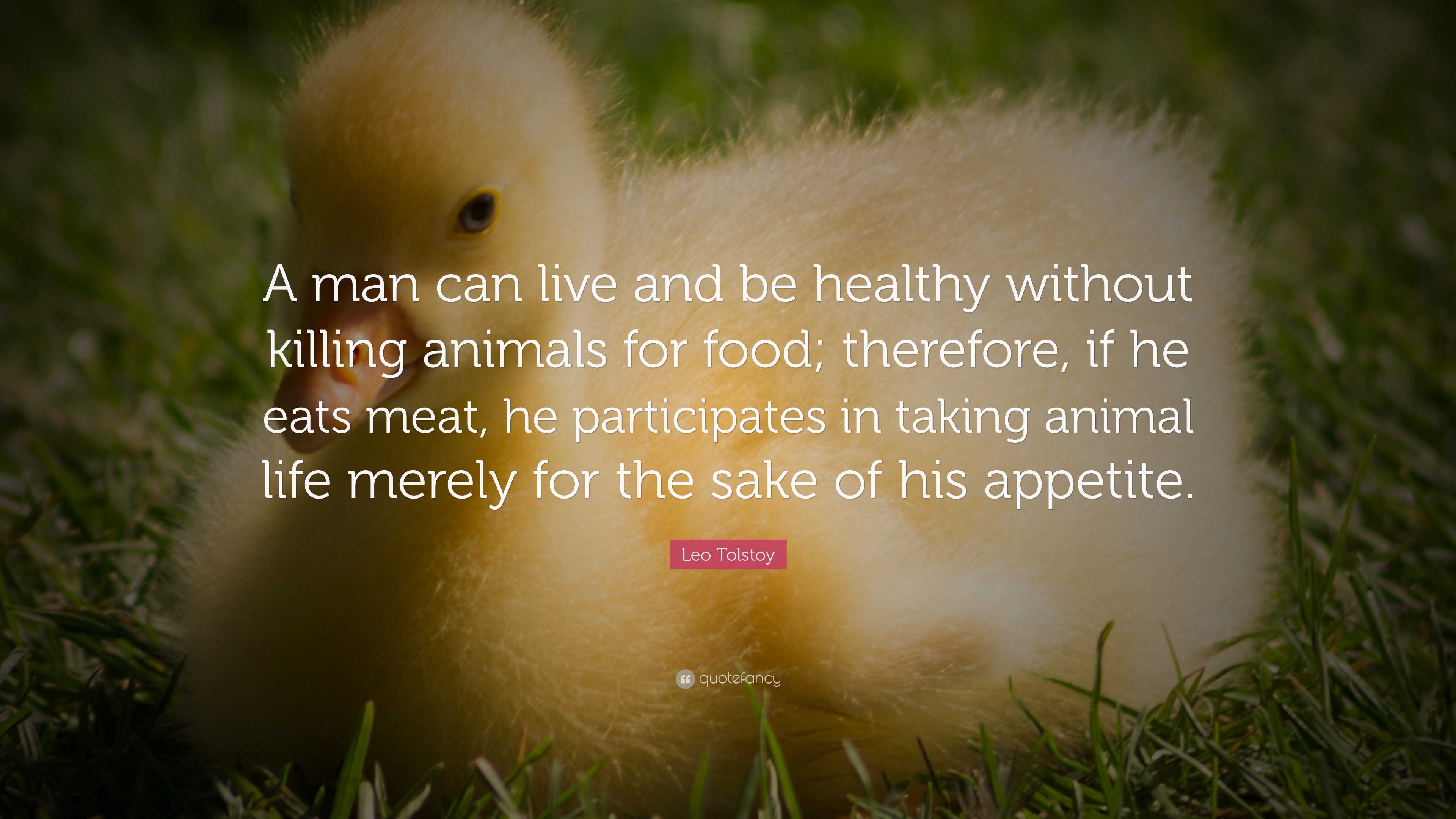 Leo Tolstoy Quote “A man can live and be healthy without killing animals for