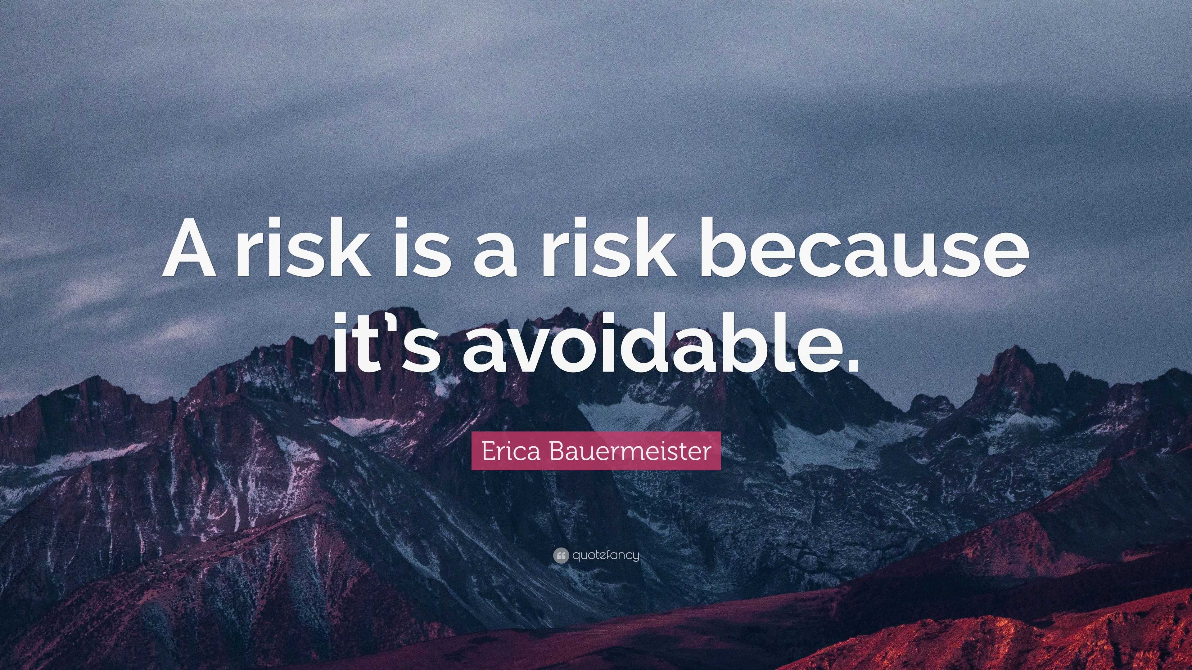 Erica Bauermeister Quote: “A risk is a risk because it’s avoidable.”