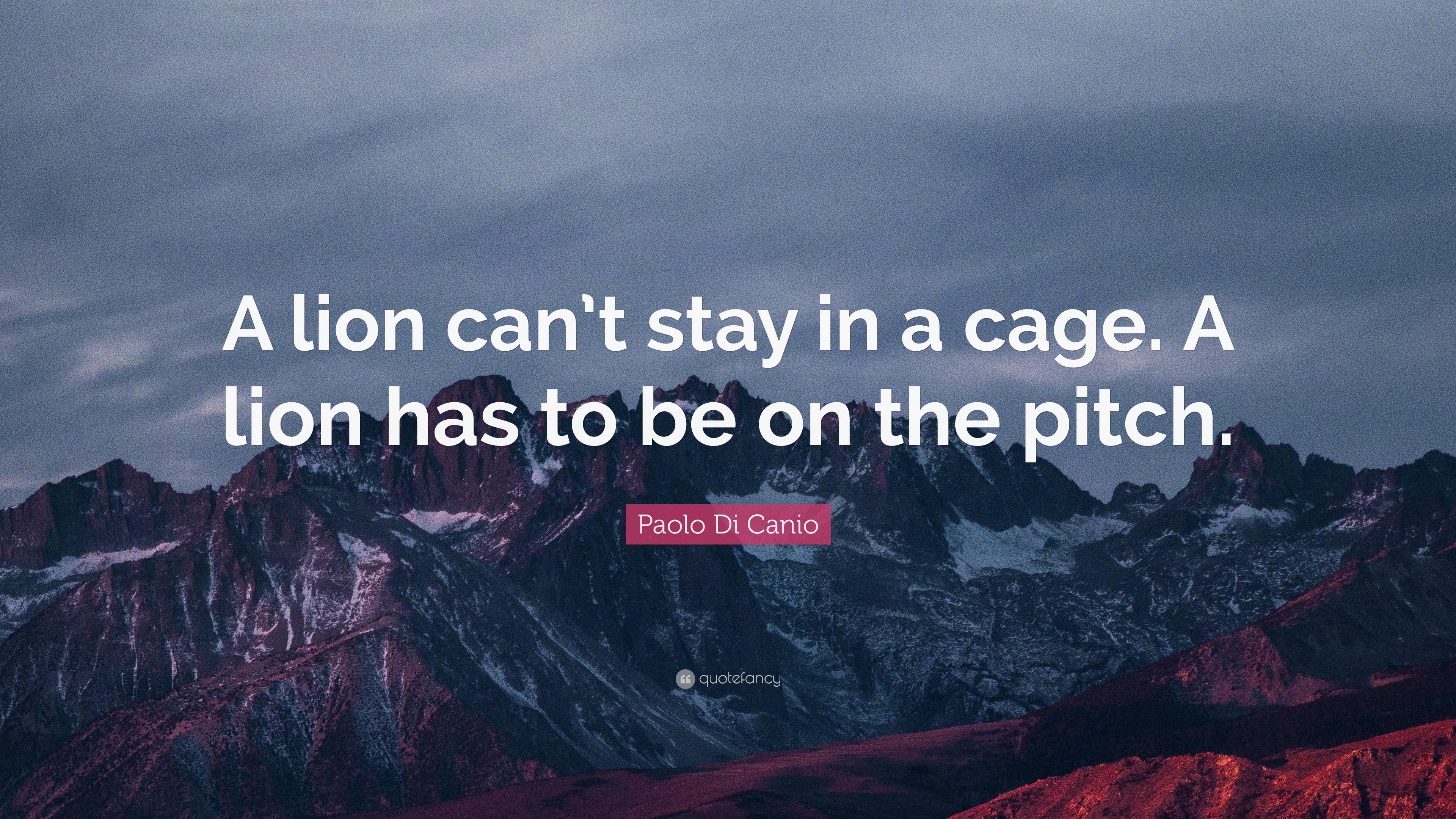 Top 10 Paolo Di Canio Quotes (2023 Update) - Quotefancy