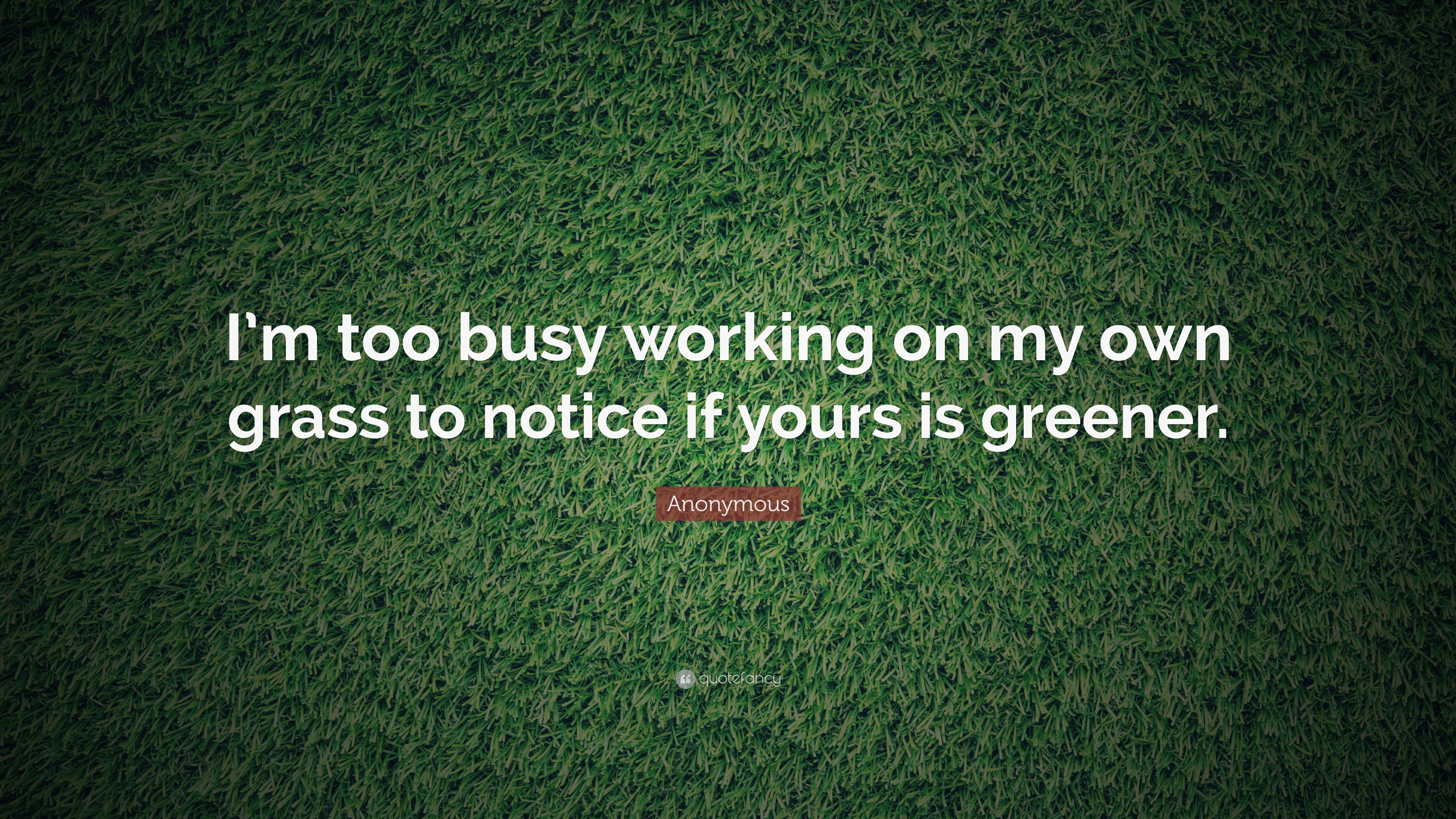 Anonymous Quote I M Too Busy Working On My Own Grass To Notice