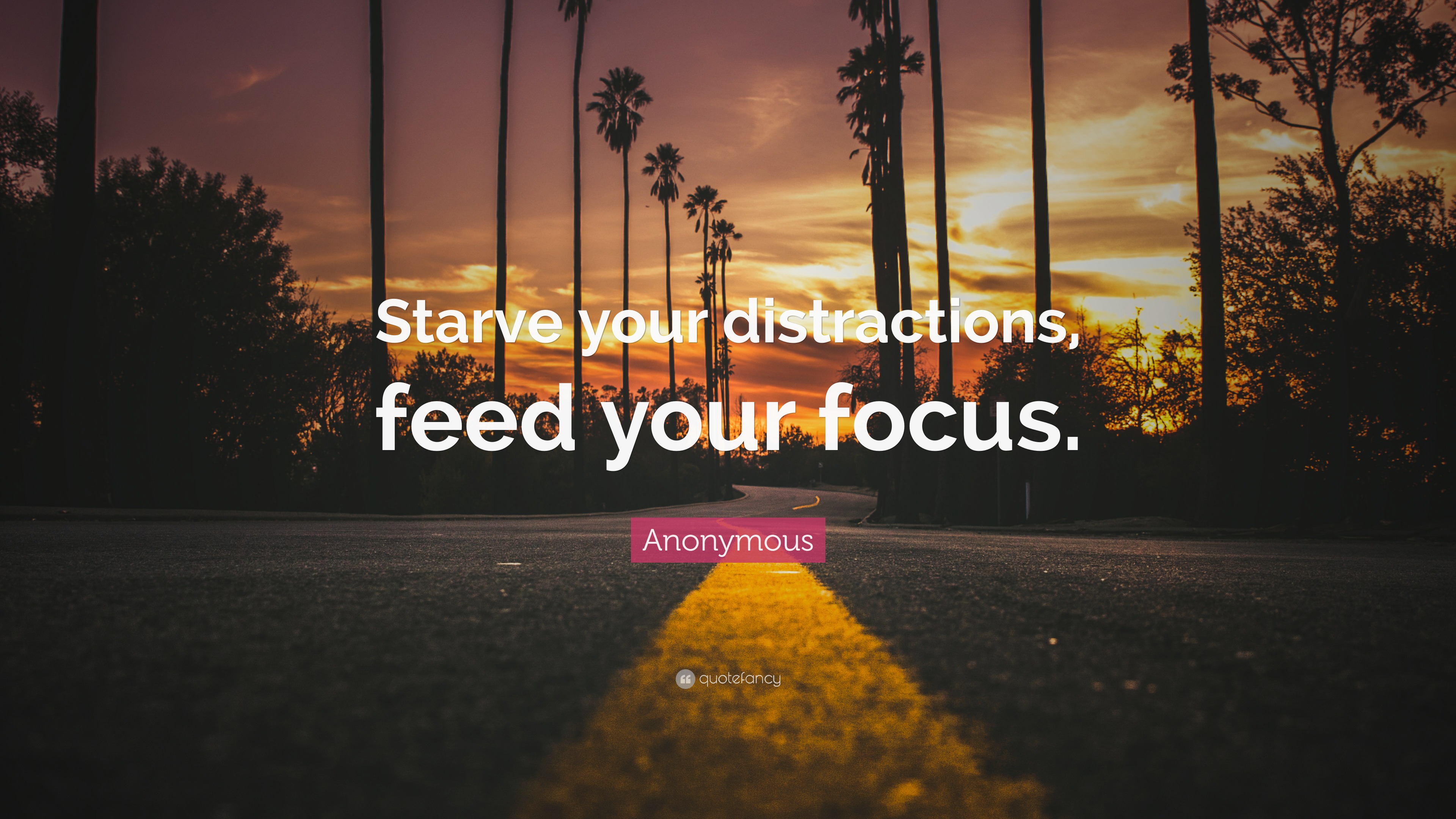 Anonymous Quote: “Starve your distractions, feed your focus.”