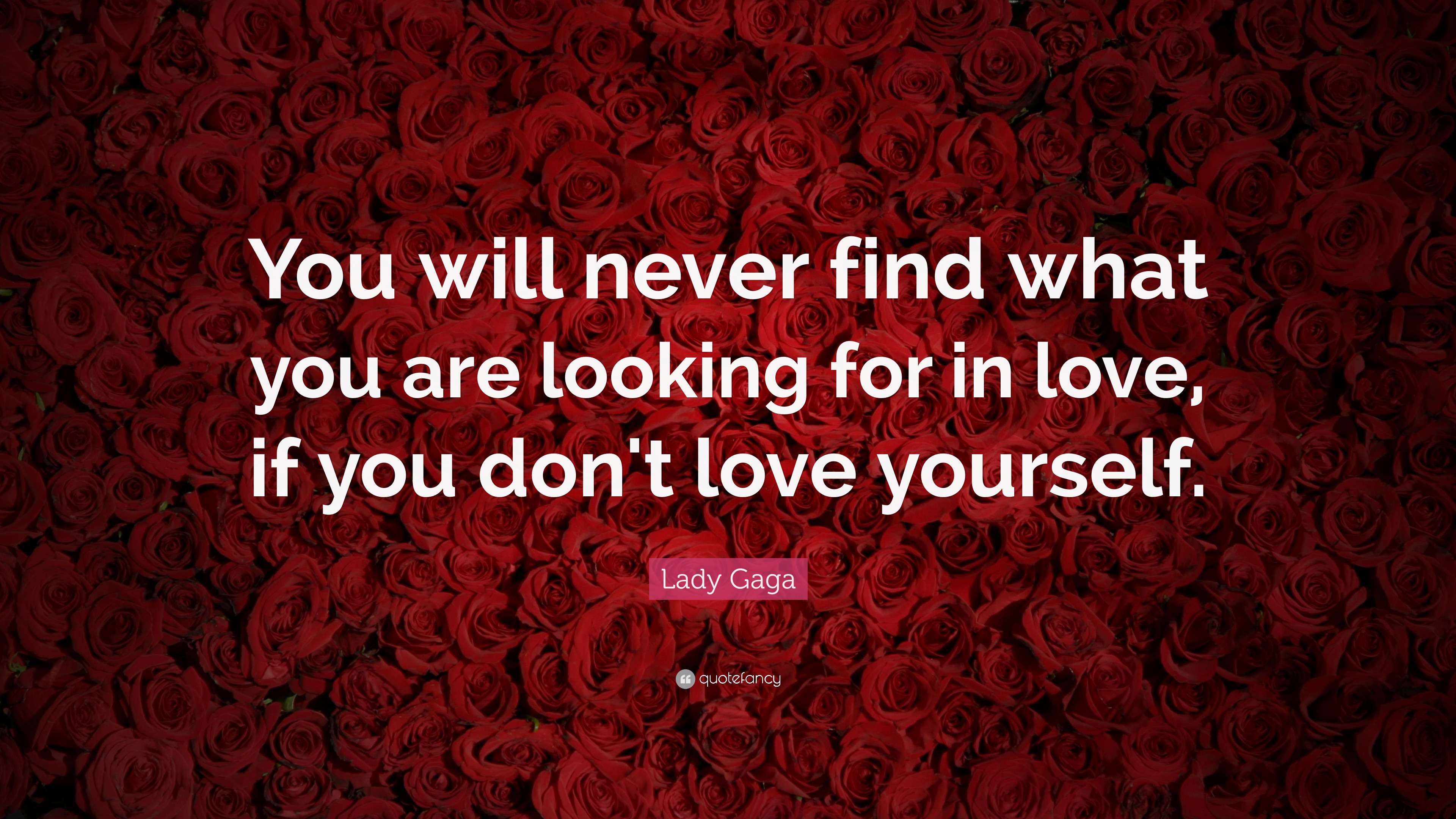 Lady Gaga Quote “You will never find what you are looking for in love