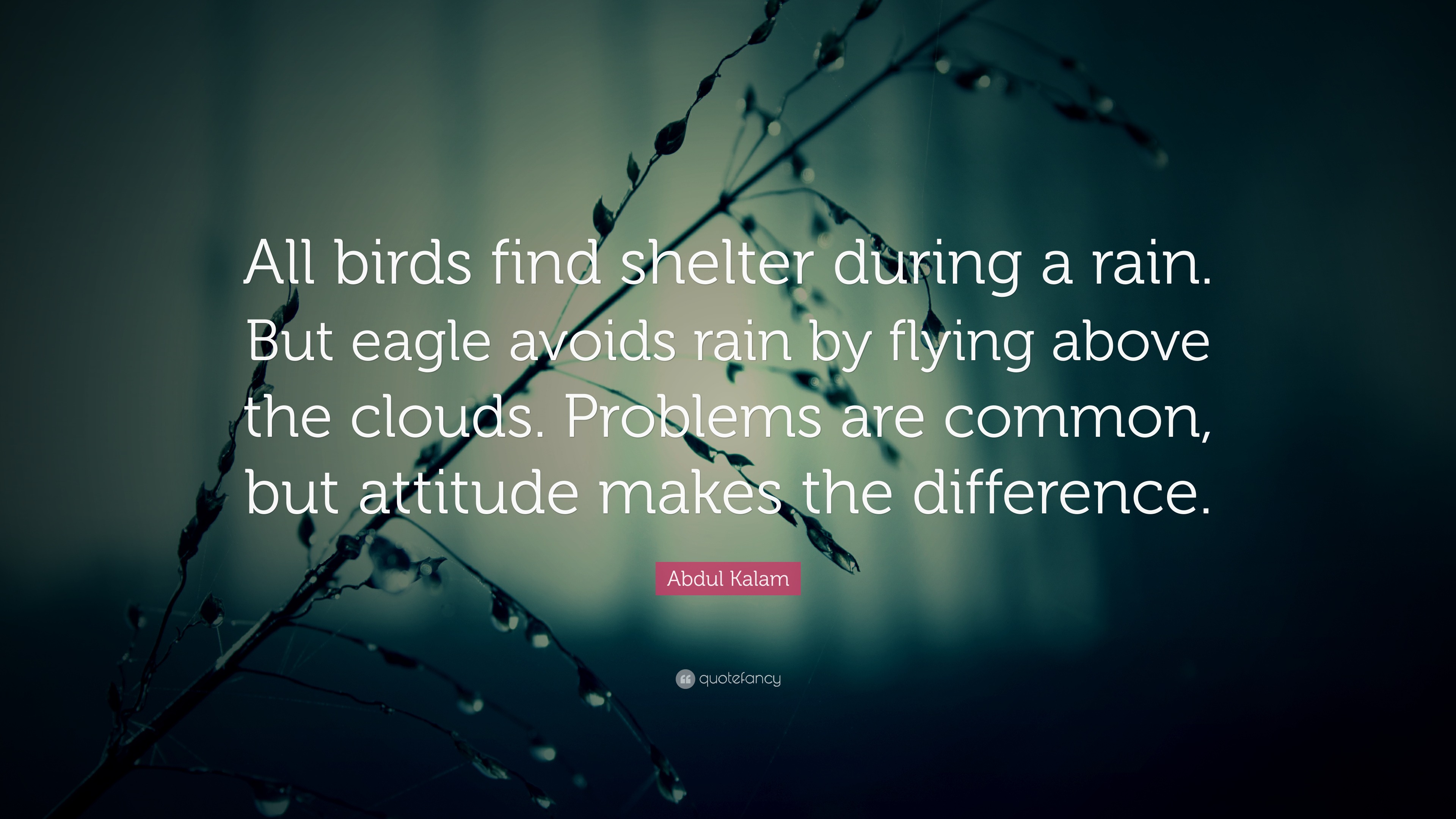 Abdul Kalam Quote: “All birds find shelter during a rain. But eagle