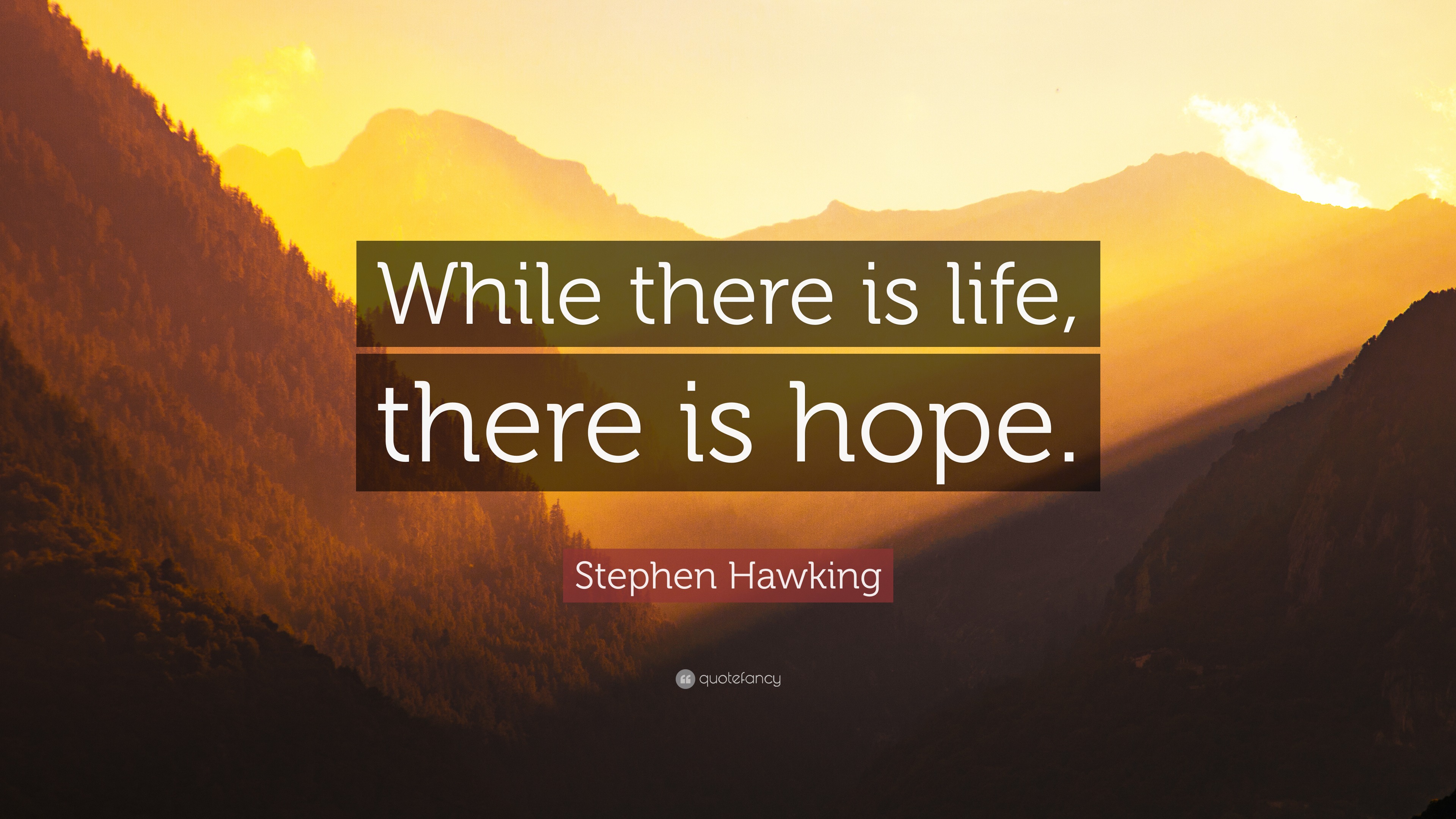 Stephen Hawking Quote  While there  is life there  is hope  