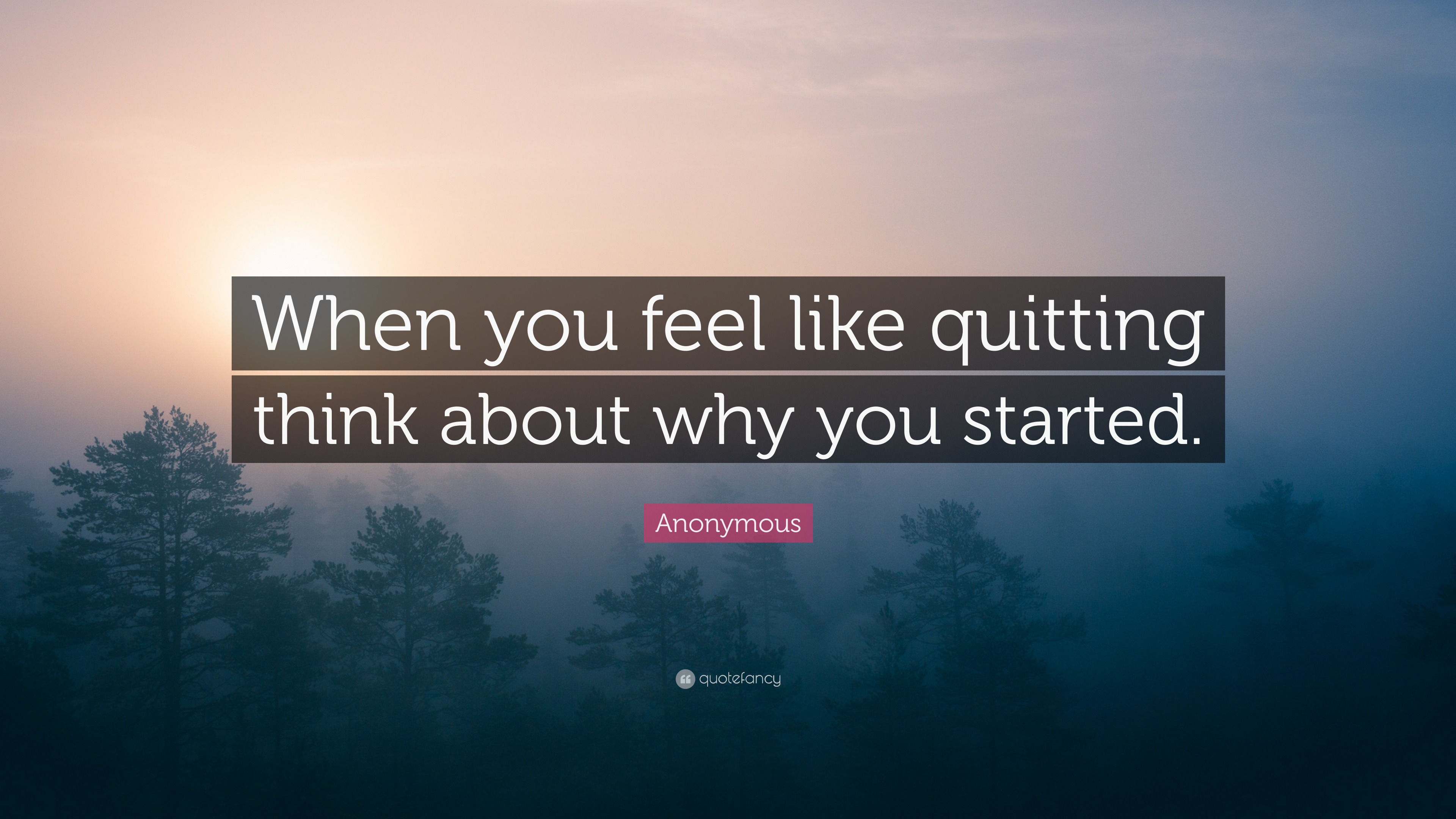 Anonymous Quote: “When you feel like quitting think about why you started.”