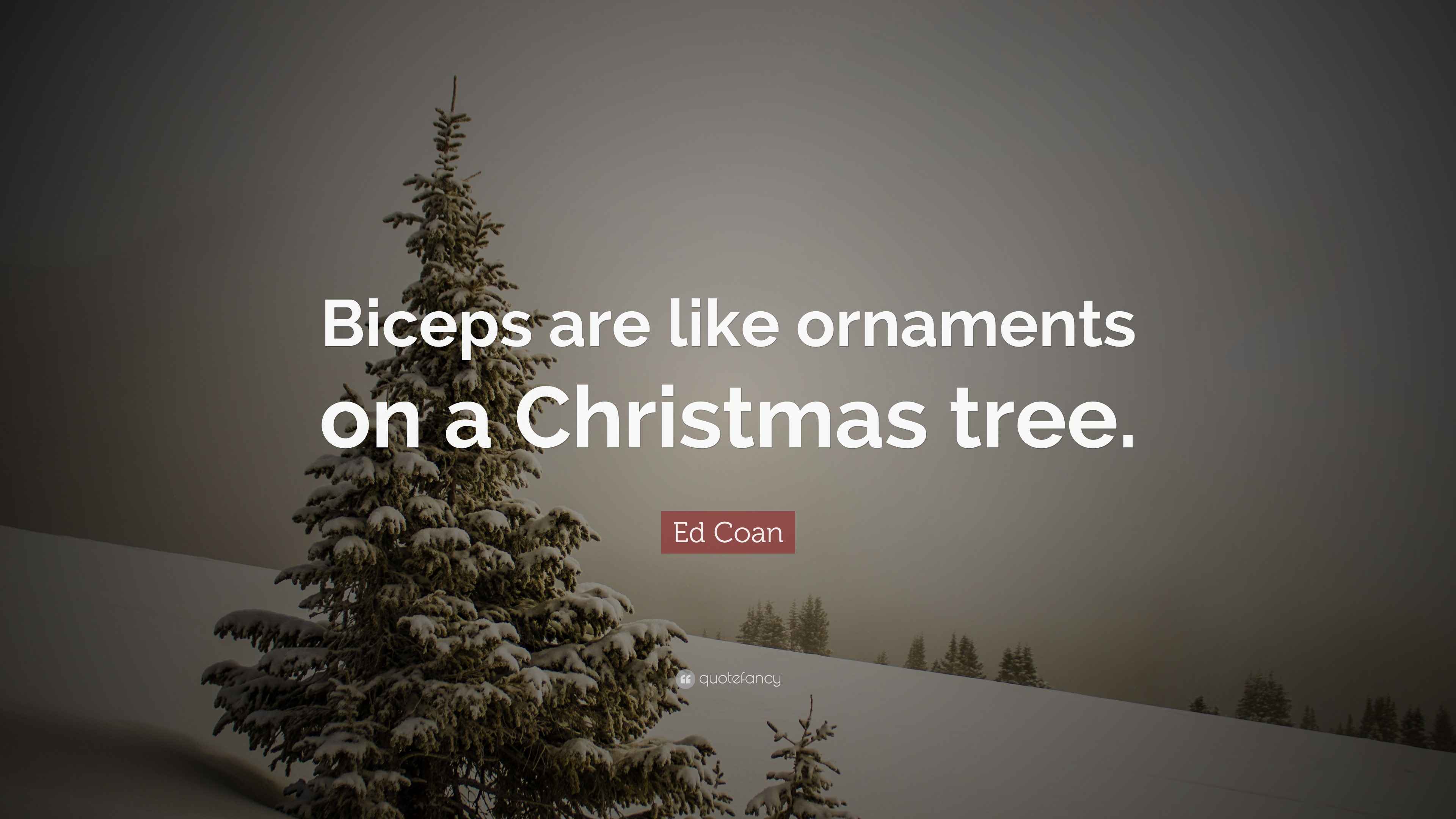 Ed Coan Quote “Biceps are like ornaments on a Christmas tree.”