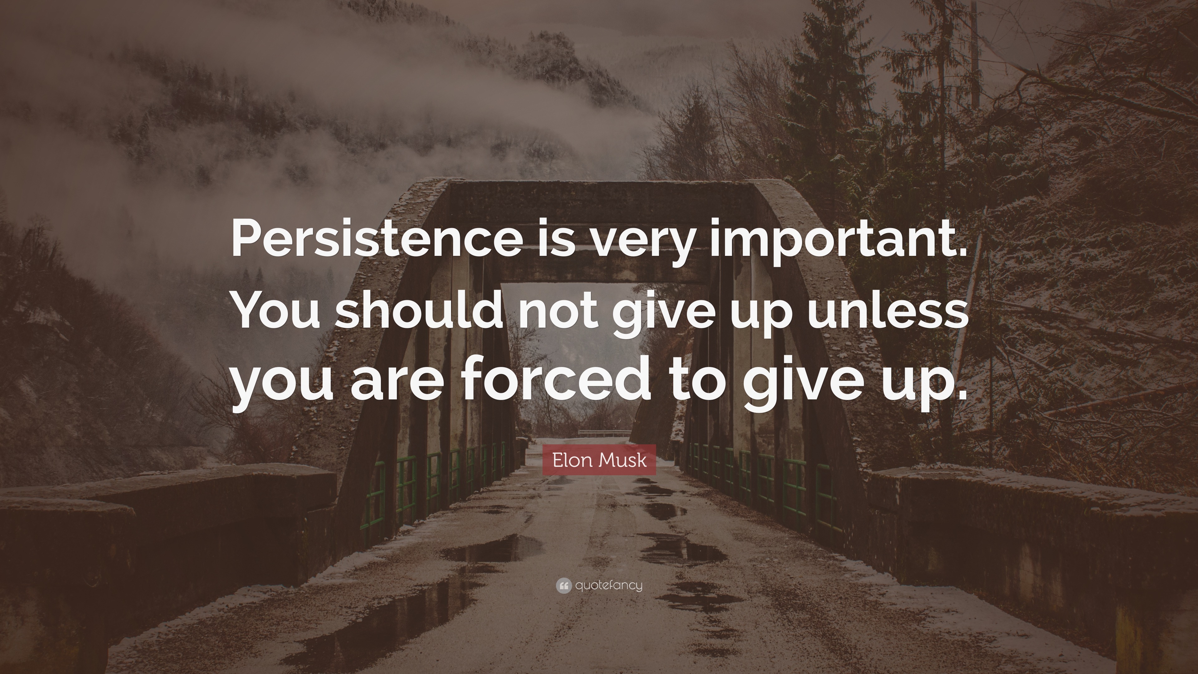 Elon Musk Quote: “Persistence is very important. You should not give up ...