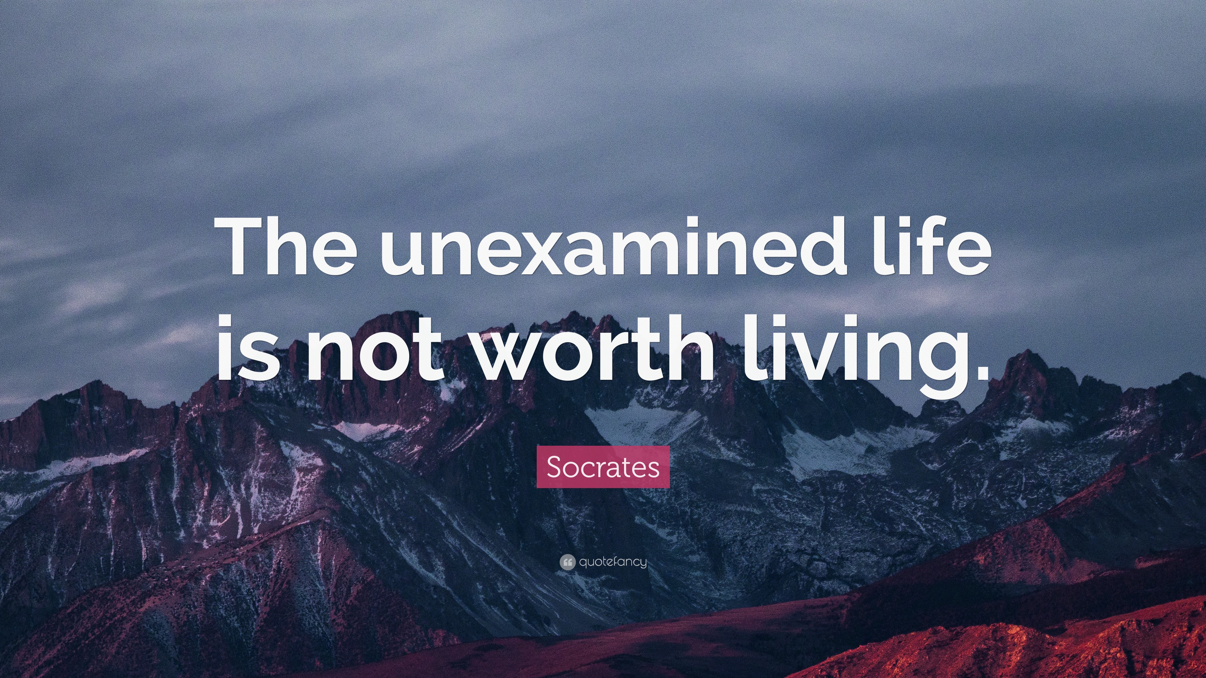 Socrates Quote: “The unexamined life is not worth living.” (20