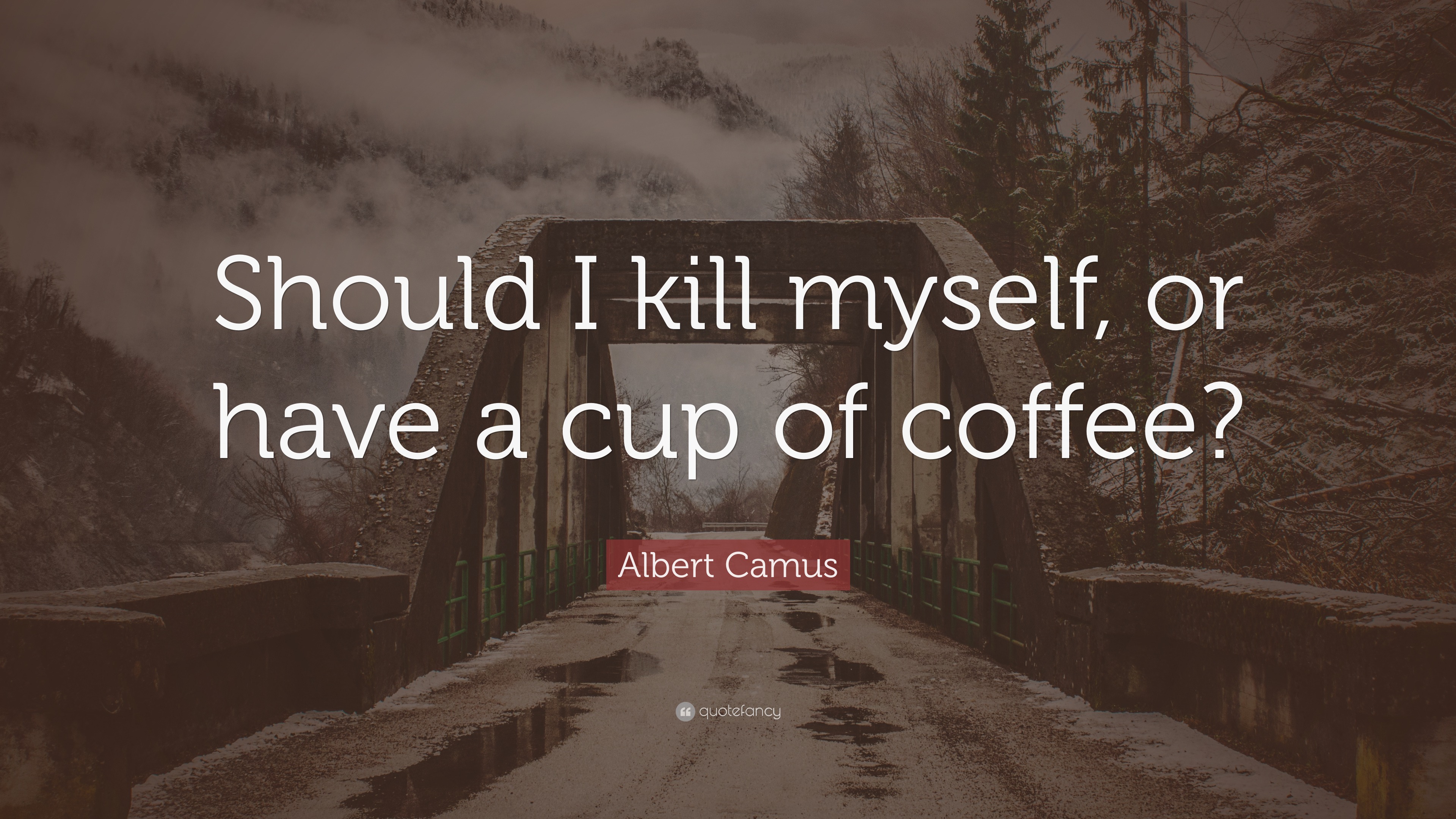 I should Kill myself. Albert Camus "la chute". Quotes with should have. Exile and the Kingdom Albert Camus. Send myself