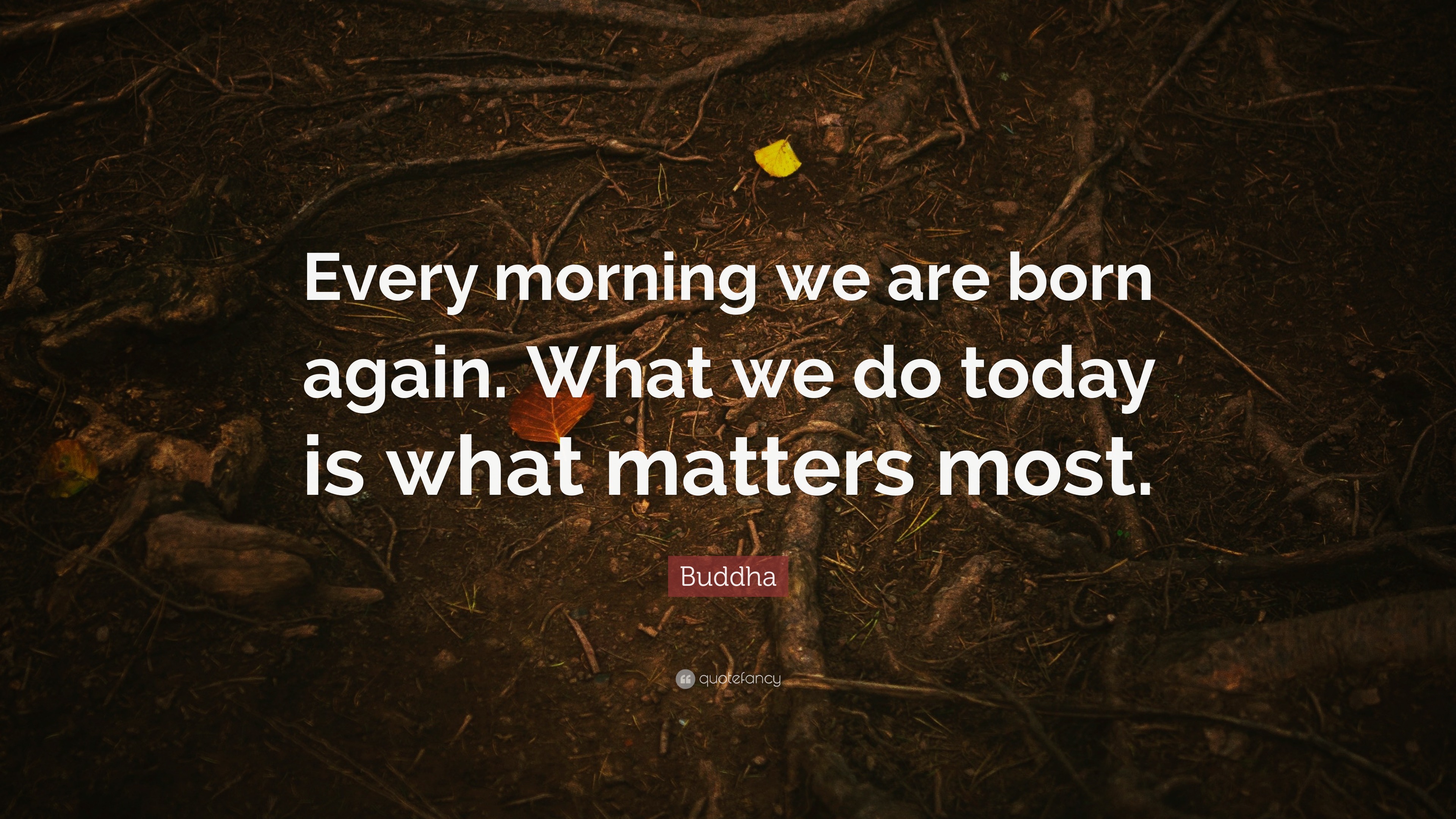 every morning we are born again.