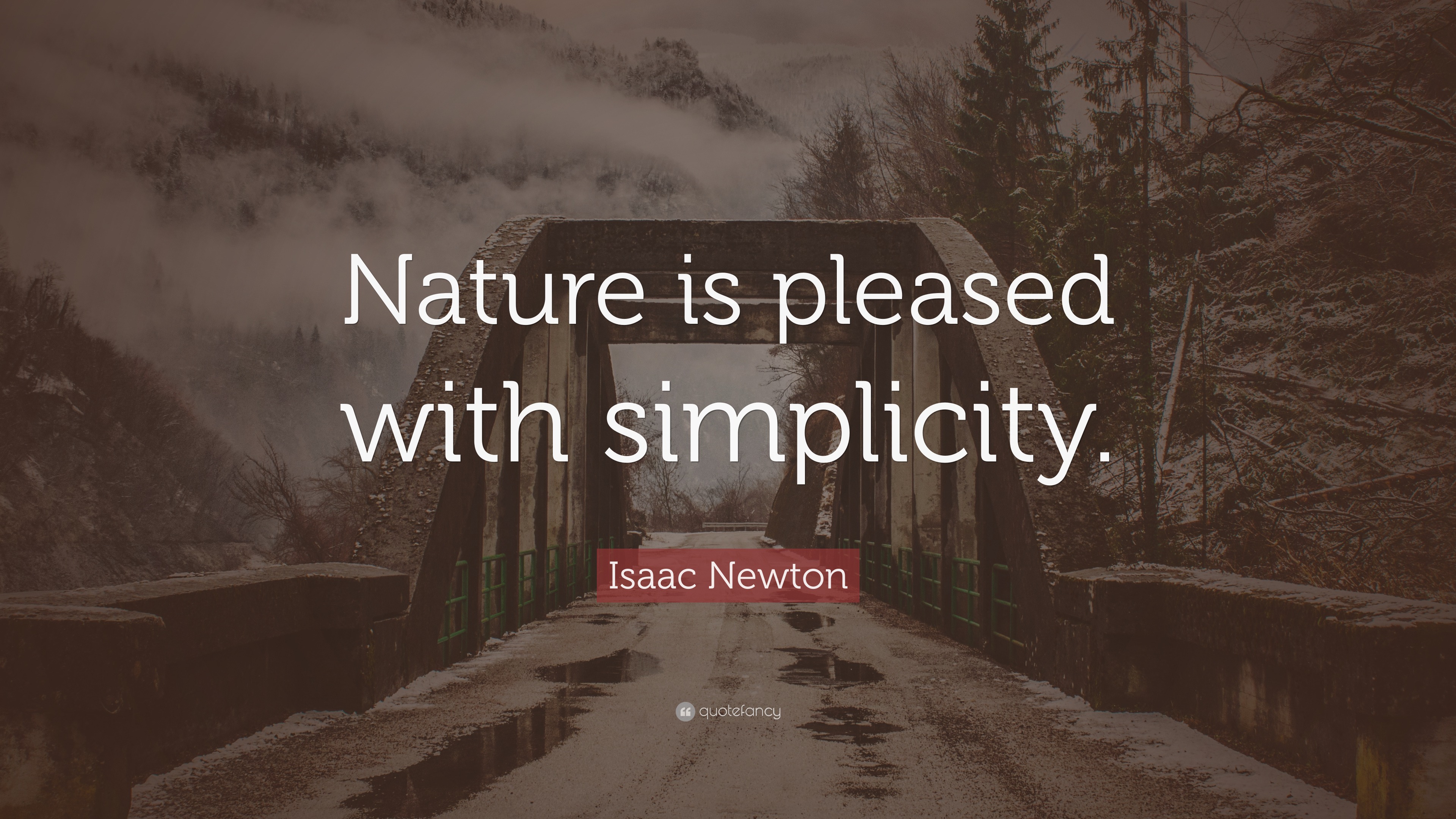 Isaac Newton Quote: 