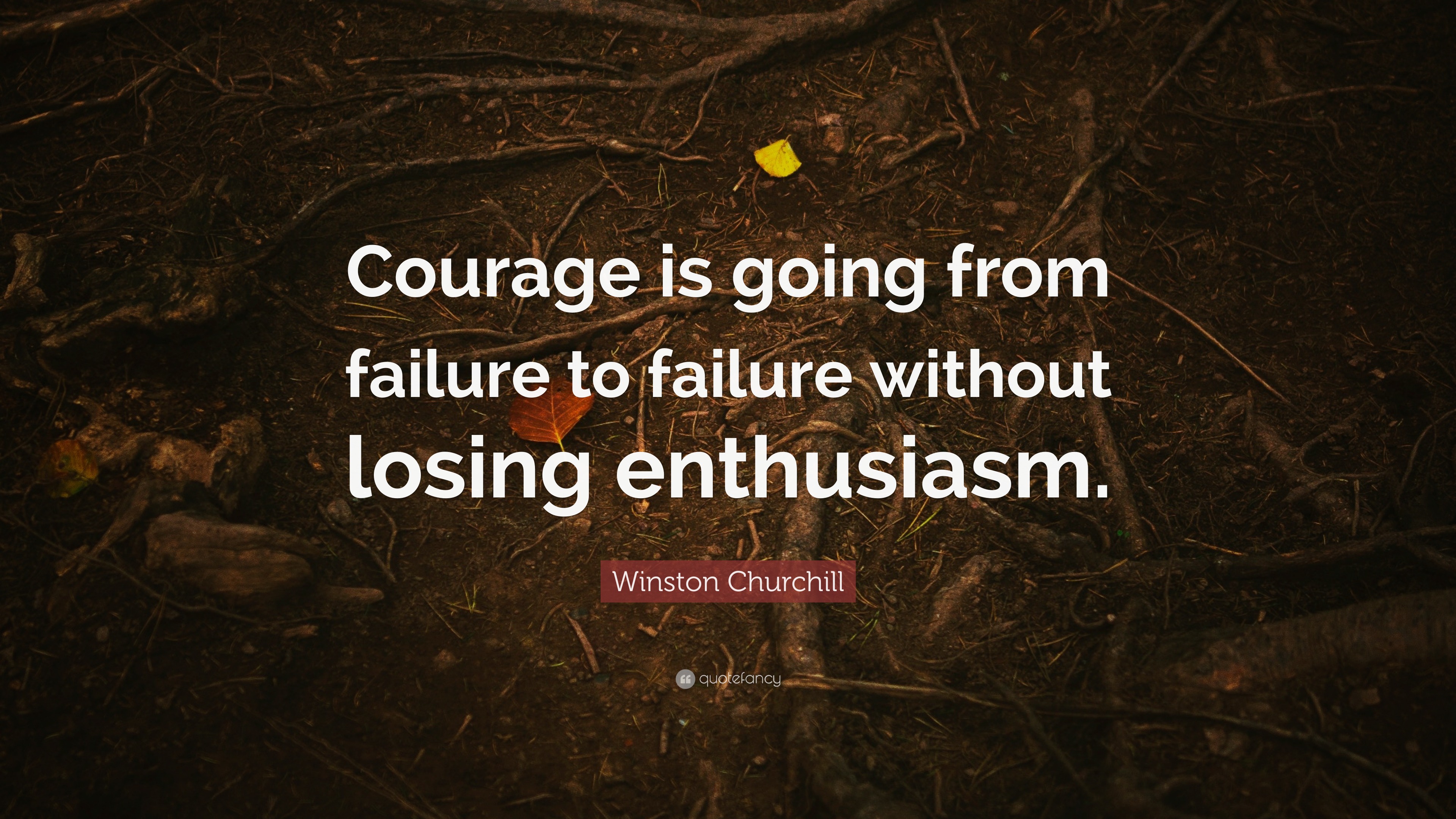 Winston Churchill Quote: “Courage is going from failure to failure ...