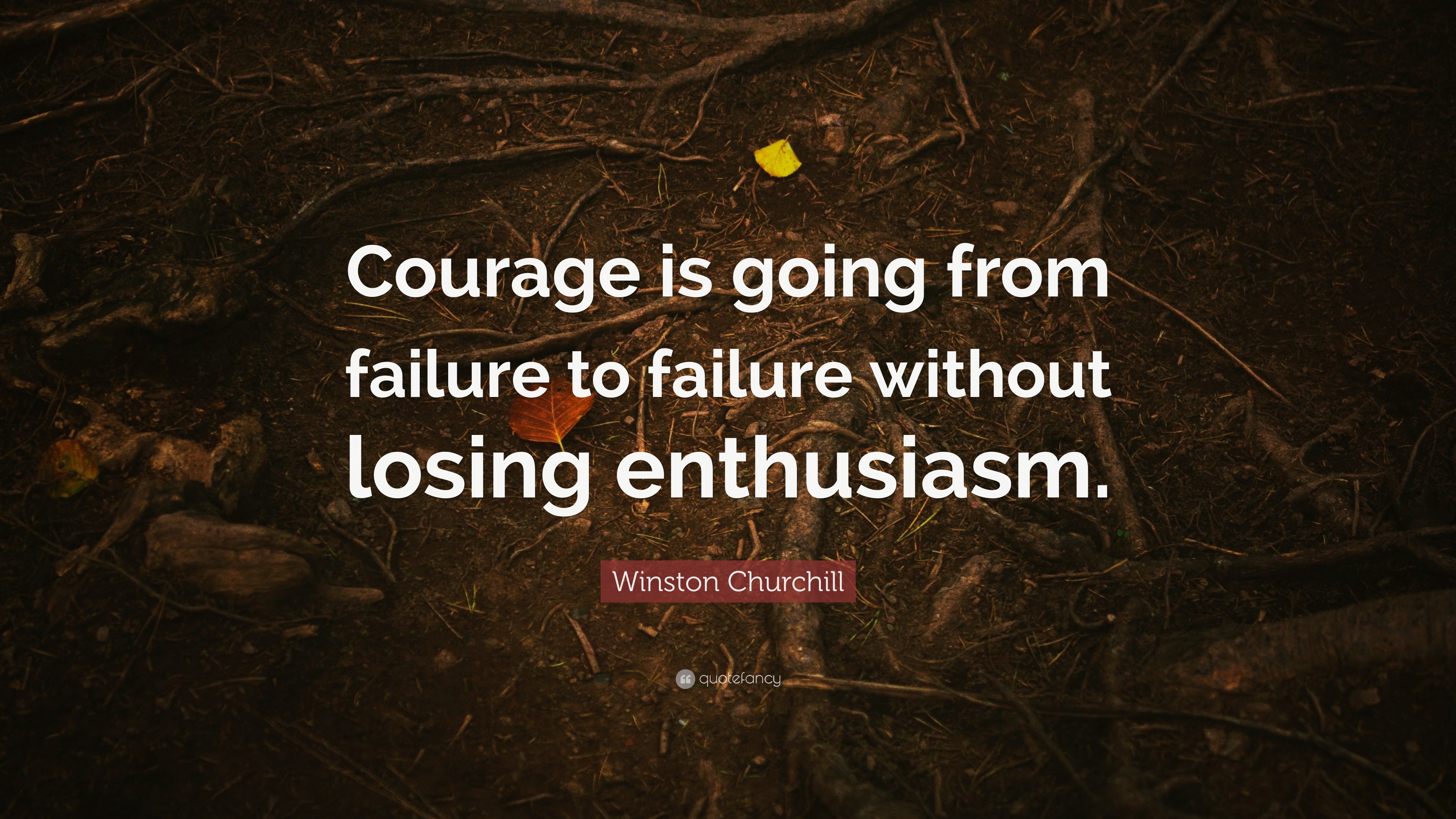Winston Churchill Quote Courage Is Going From Failure To Failure Winston Churchill Quote Courage Is Going From Failure To Failure