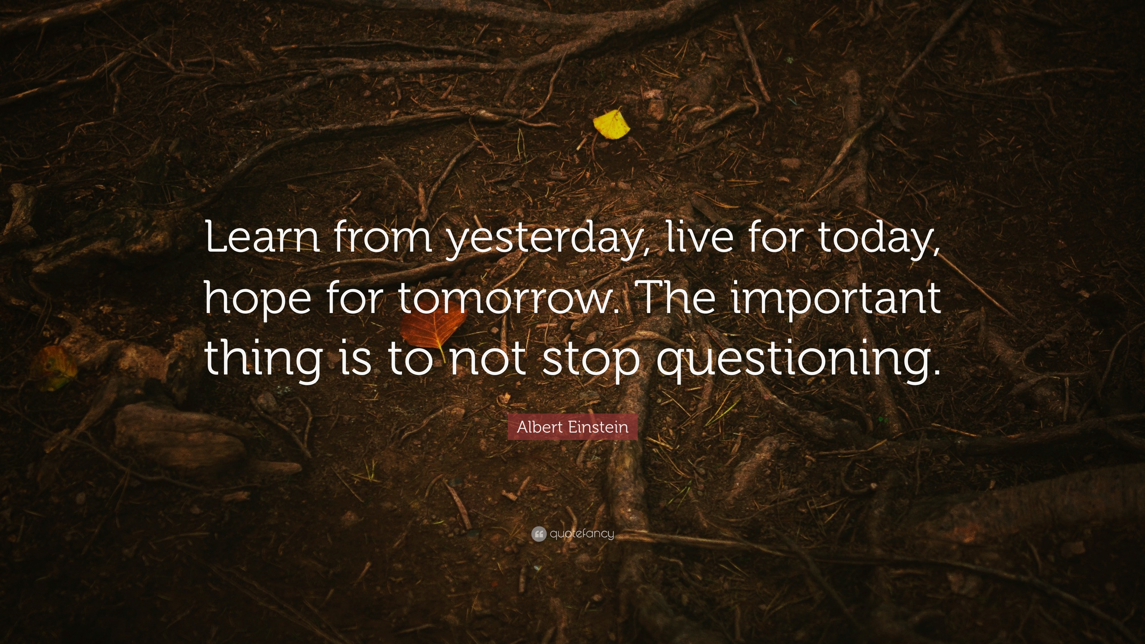 Albert Einstein Quote: “Learn from yesterday, live for today, hope for