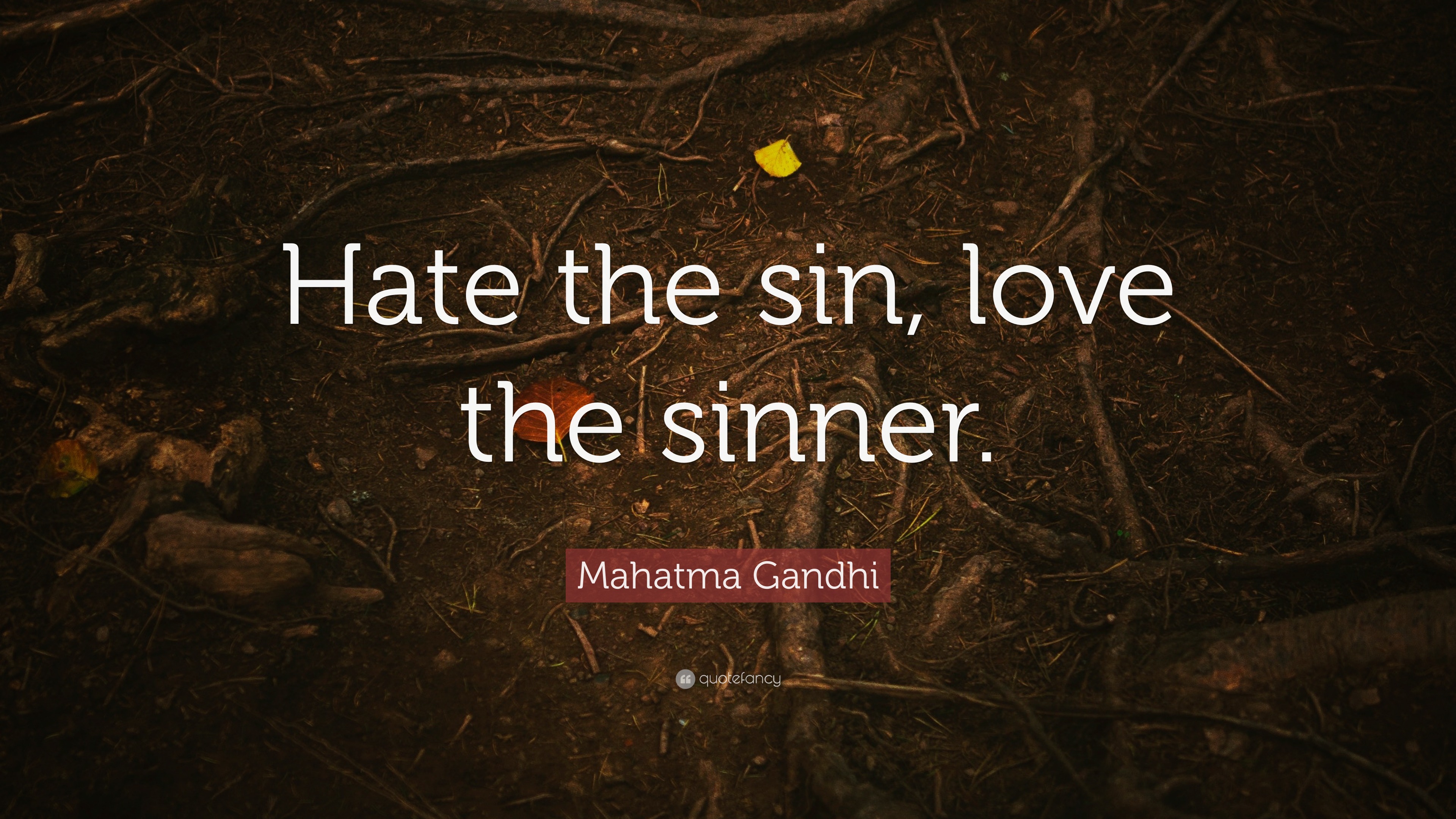 Mahatma Gandhi Quote: “Hate The Sin, Love The Sinner.”