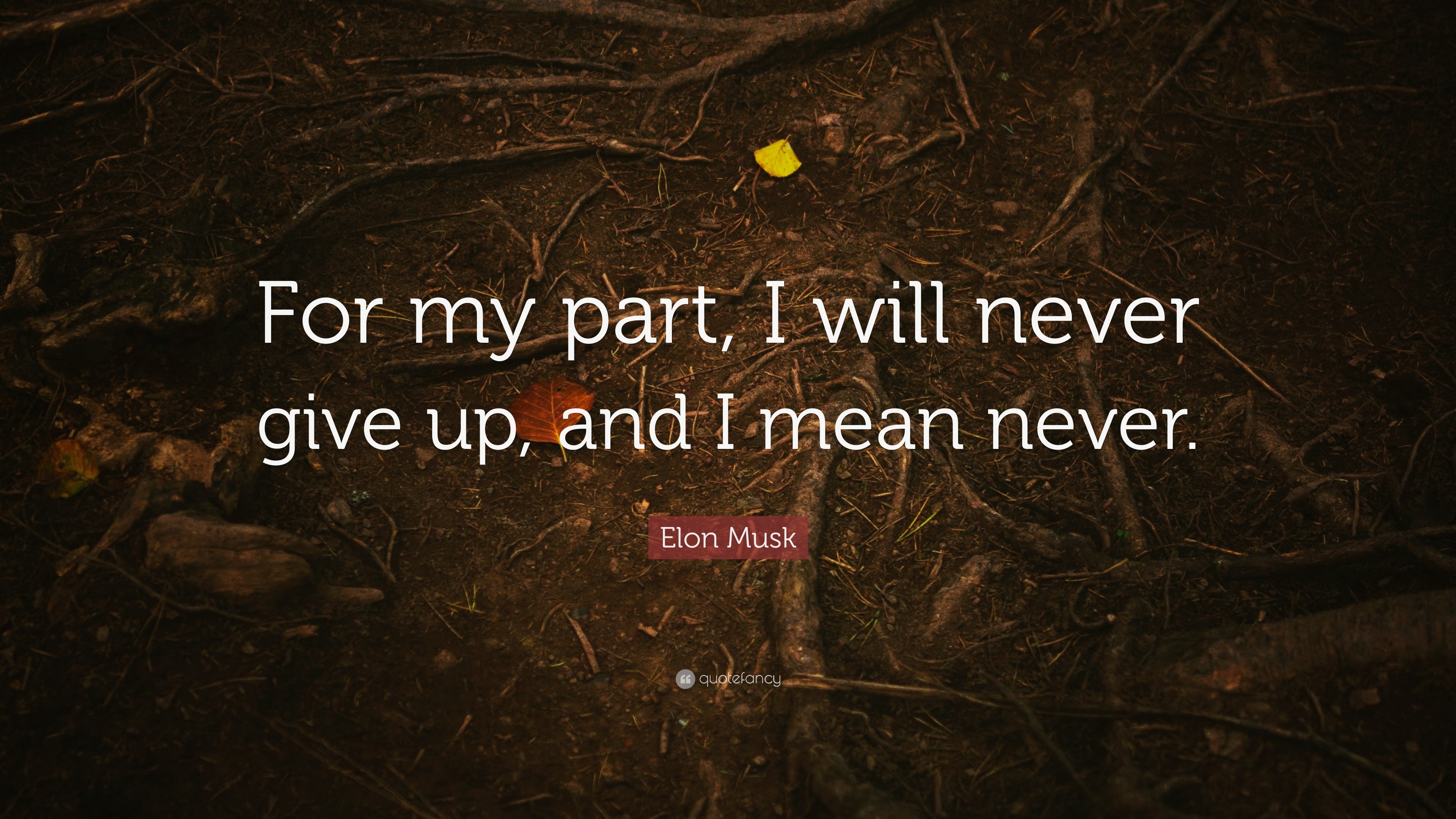 Elon Musk Quote: “For my part, I will never give up, and I mean never.”