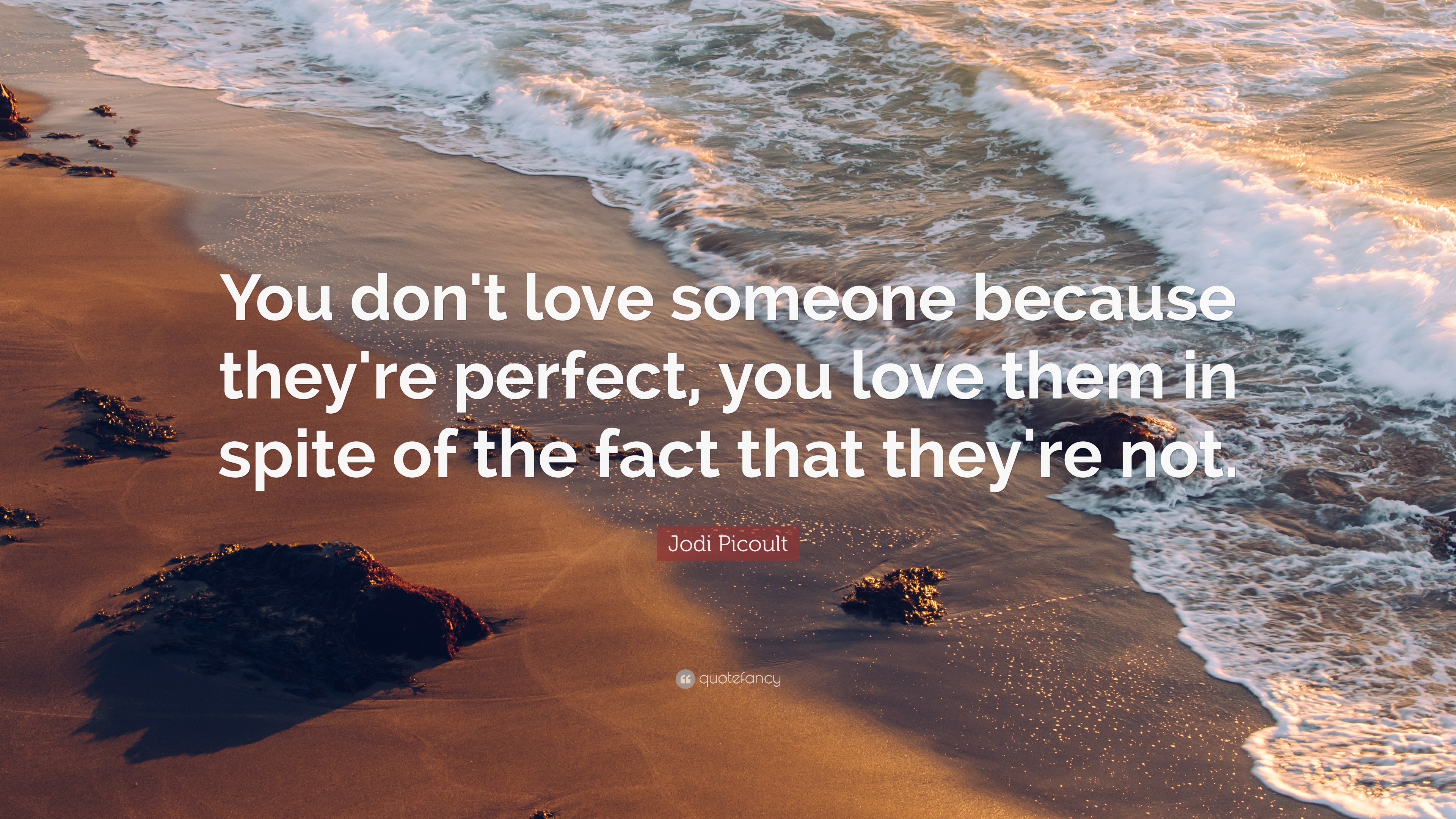 Jodi Picoult Quote: “You don't love someone because they're perfect ...