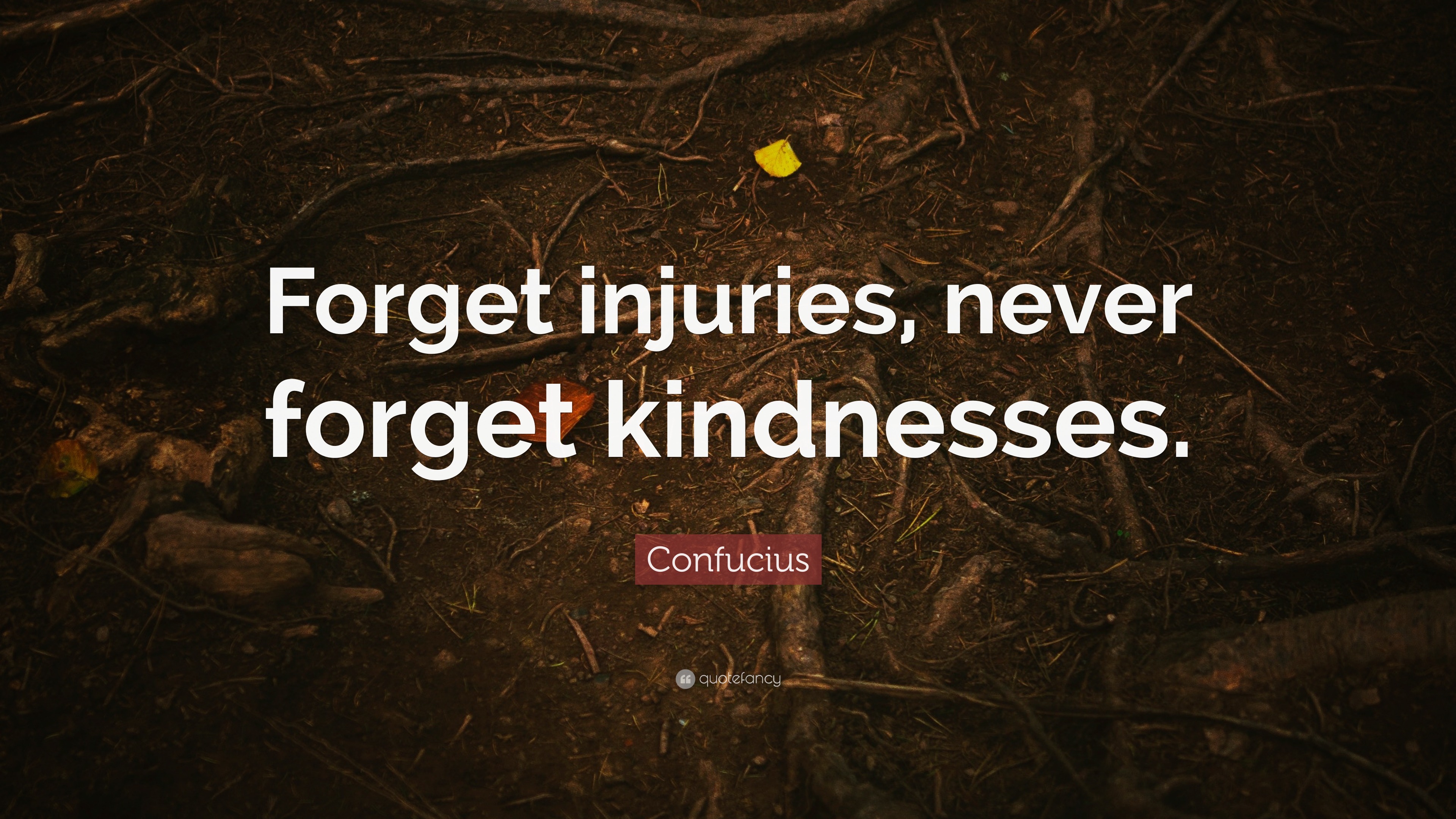 Confucius Quote: “Forget injuries, never forget kindnesses.” (15