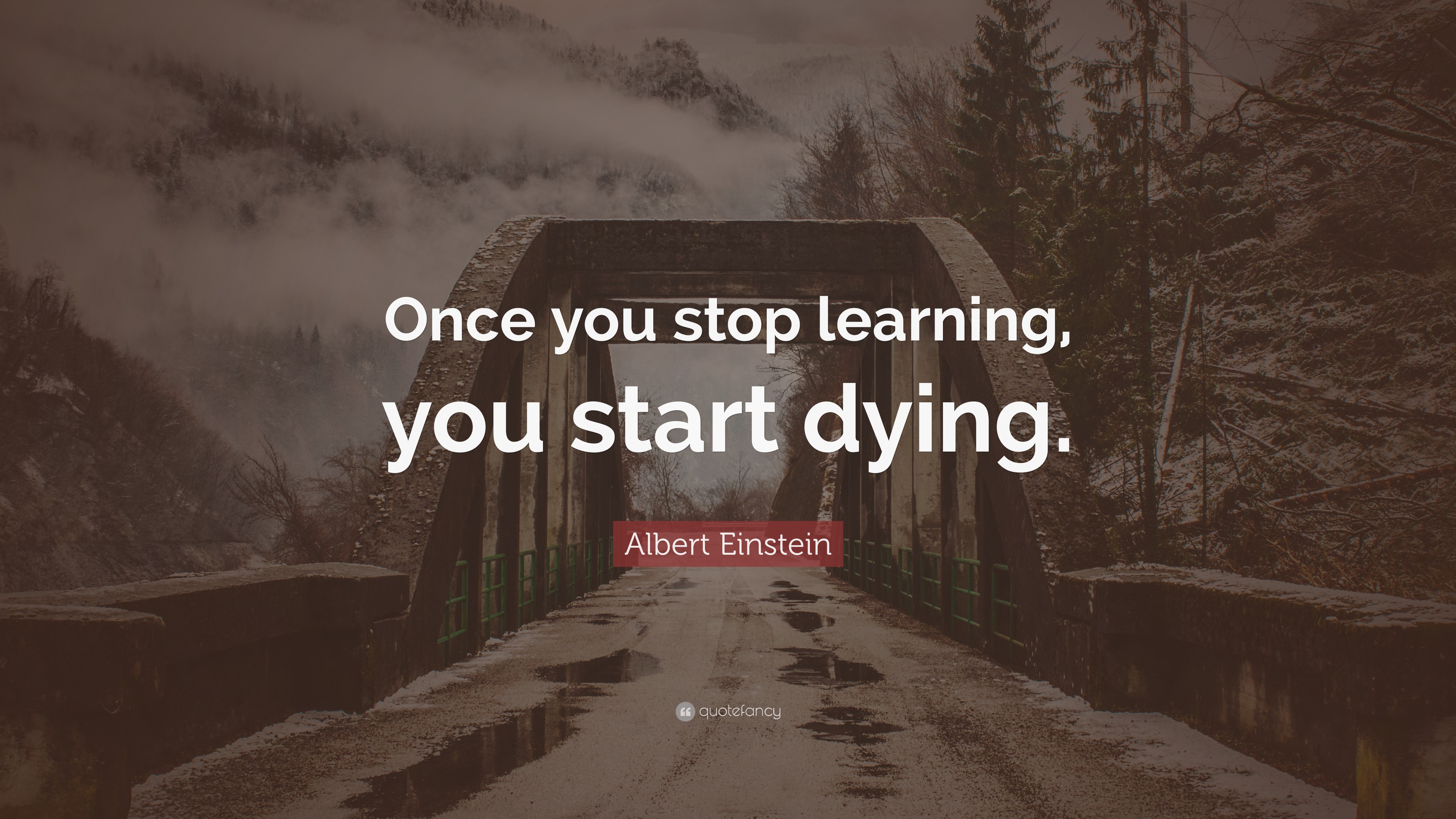 Albert Einstein Quote: “Once you stop learning, you start dying.”