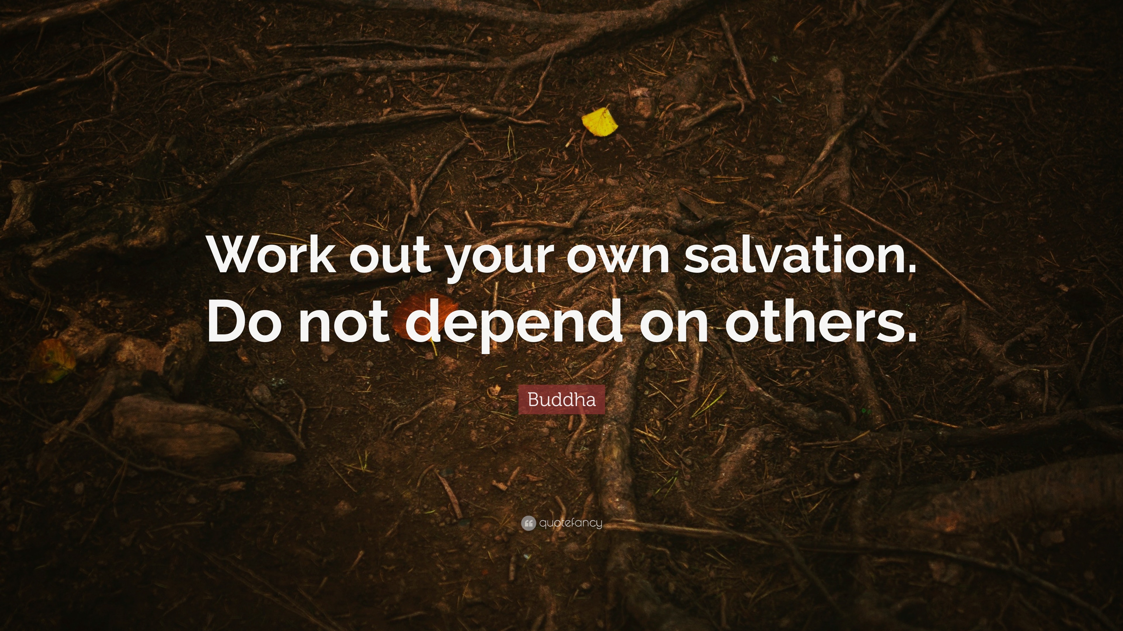 Buddha quote work out your own salvation do not depend on others 