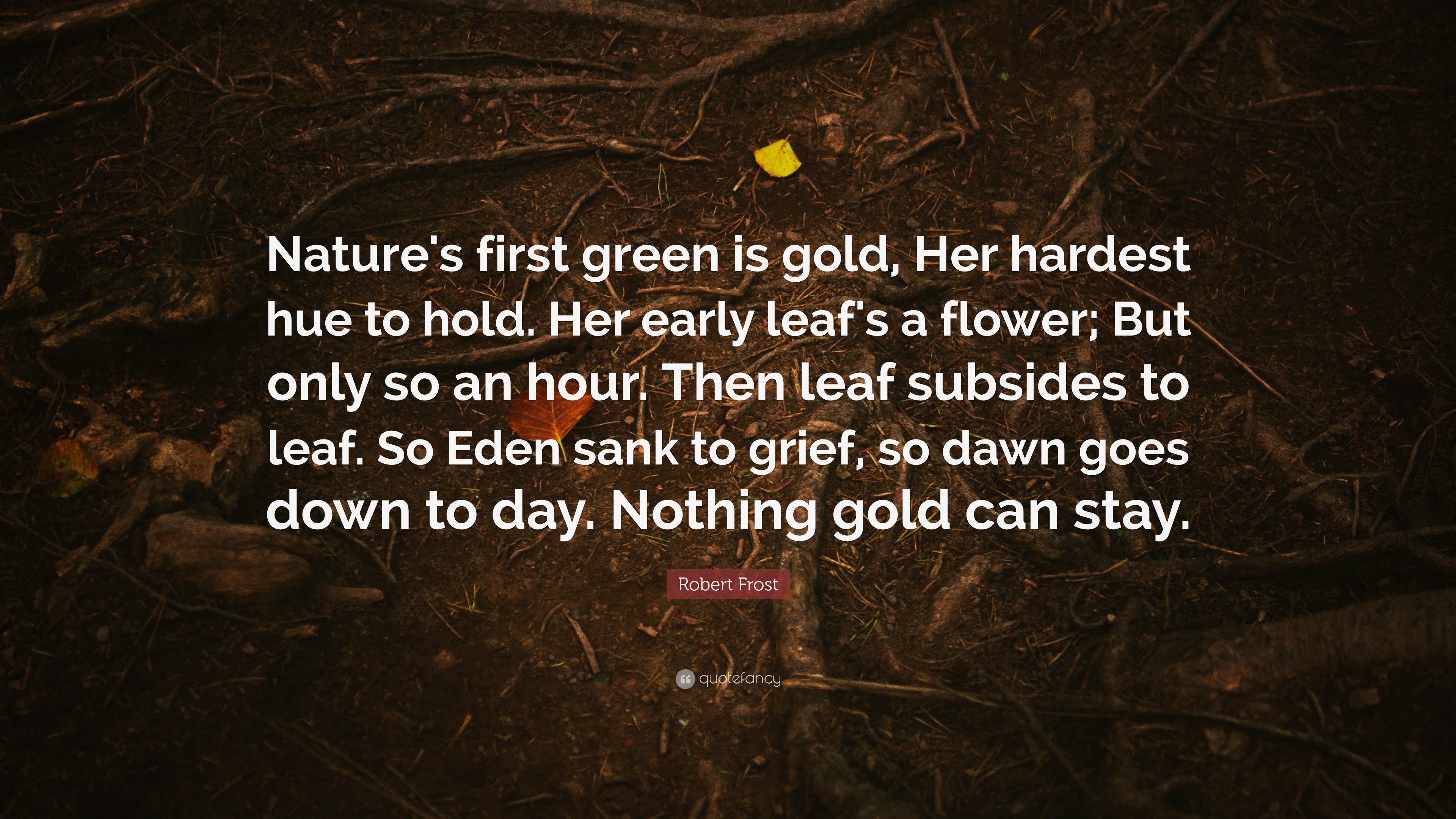 Robert Frost Quote: “Nature's first green is gold, Her hardest hue to